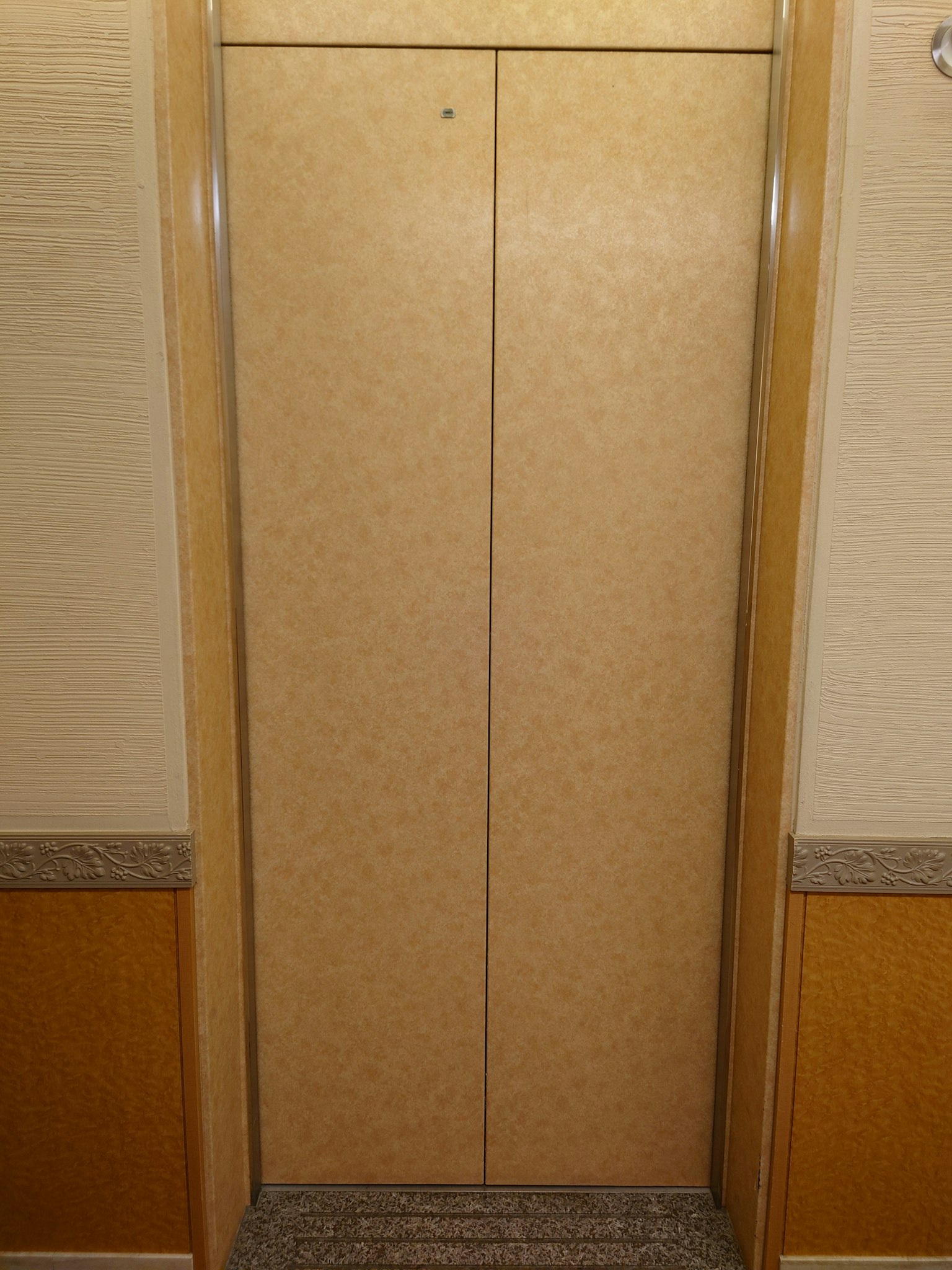 Diseño simple de puertas de ascensor cerradas en el interior de un edificio