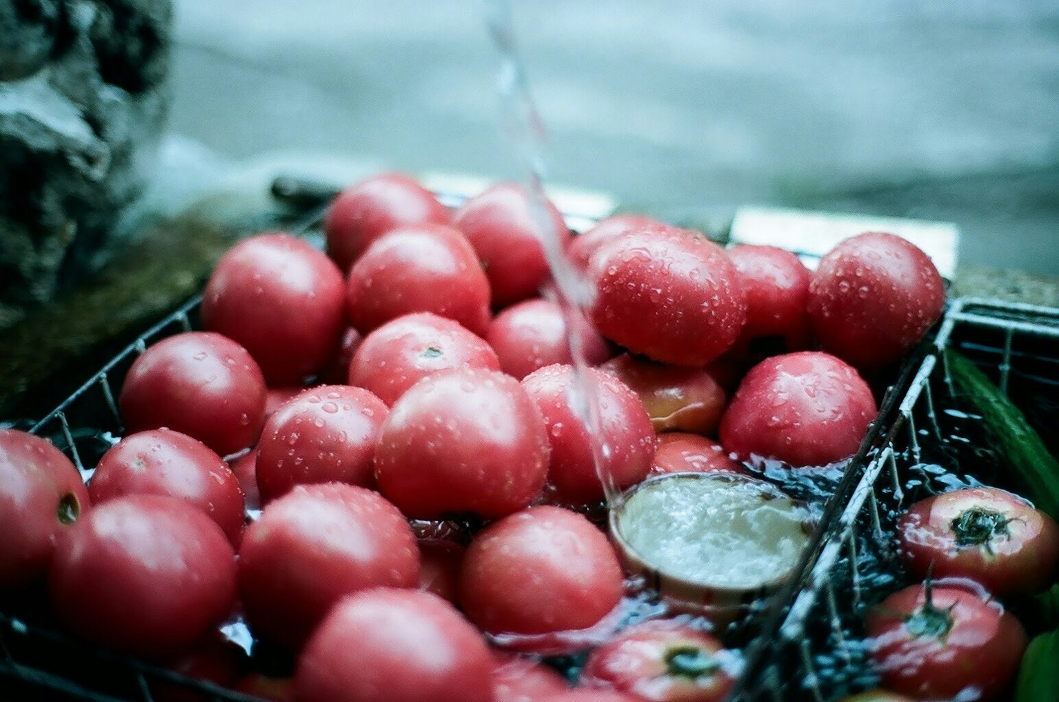 Giỏ táo đỏ tươi trong nước