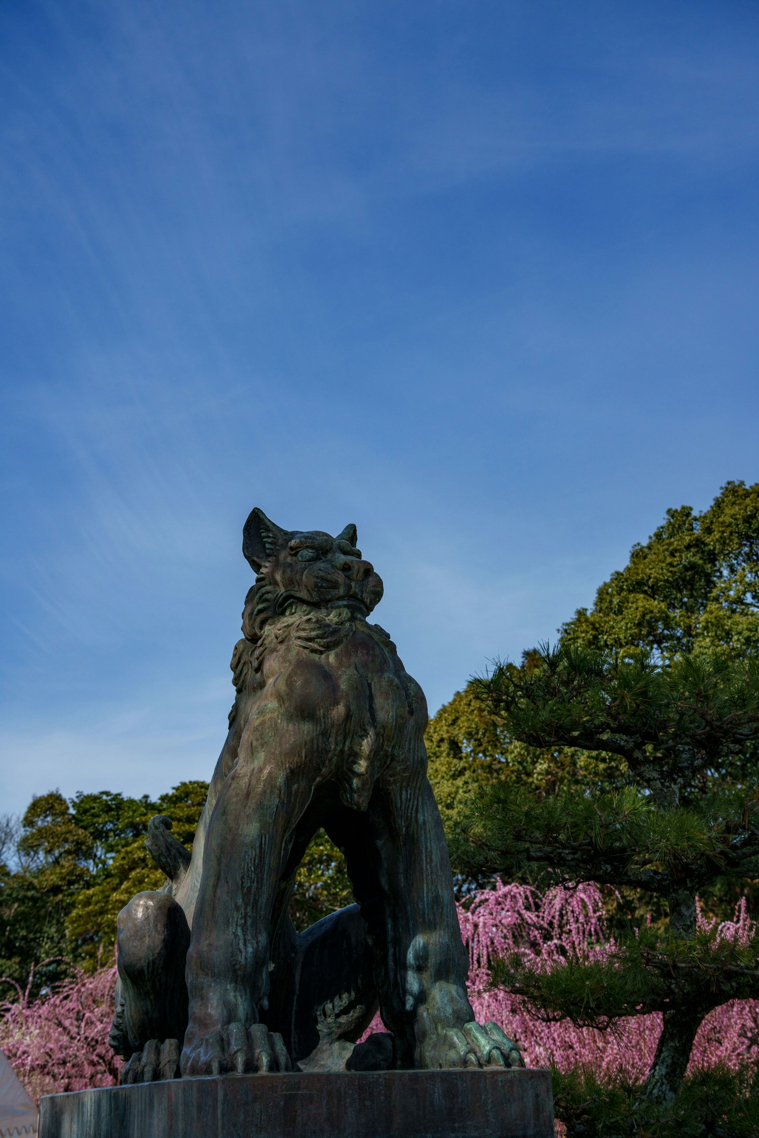 Una estatua de león guardián bajo un cielo azul con flores de cerezo