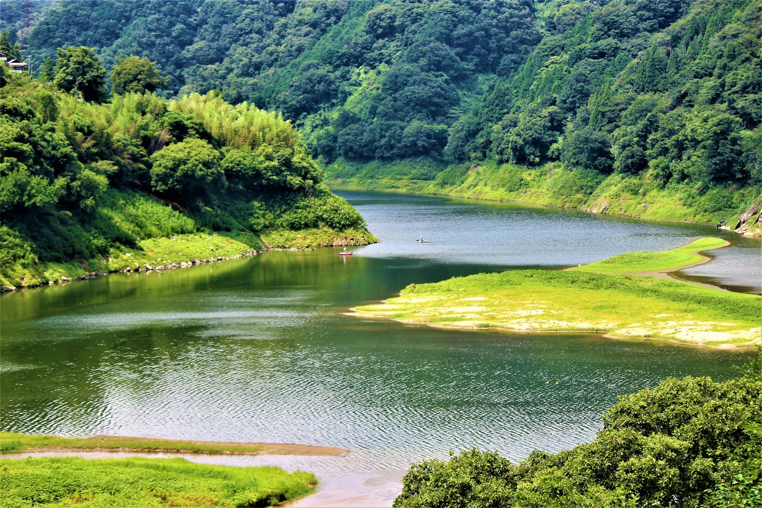 Paisaje de río sereno rodeado de vegetación exuberante