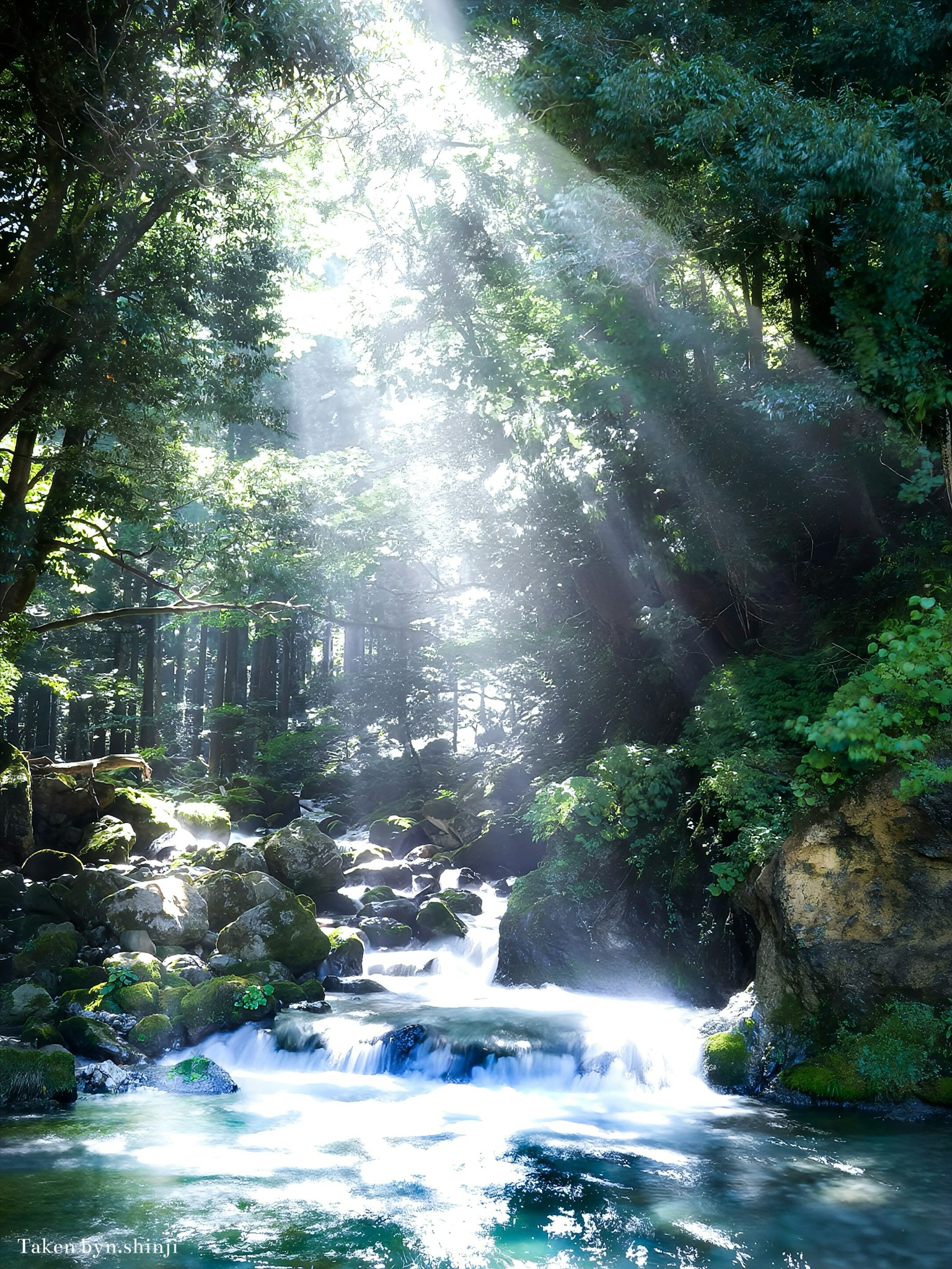 photo-CQPs58vwkxgwuJj4uwy2-image