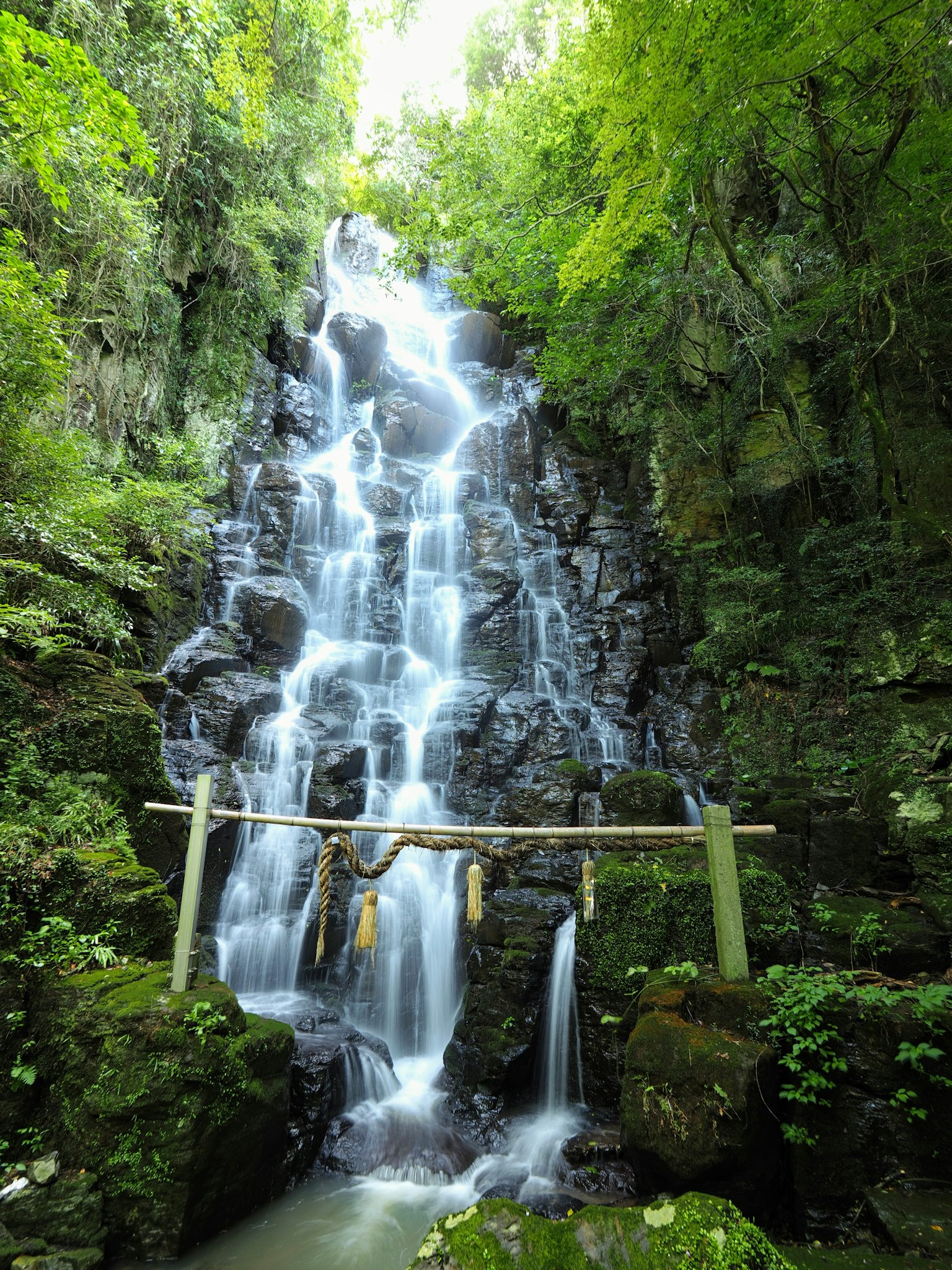 Una bella cascata che scorre su rocce in una foresta verdeggiante