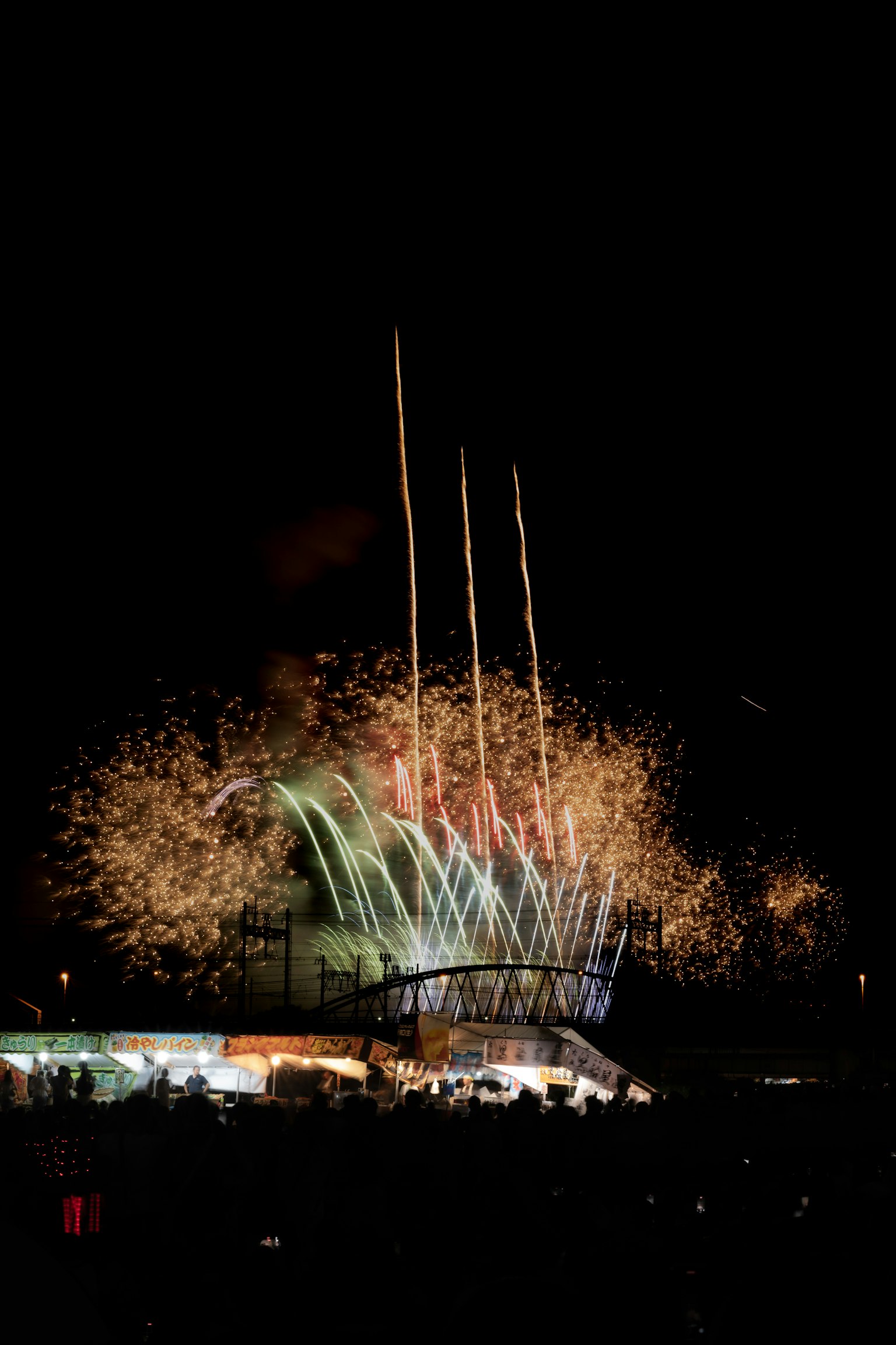 Spettacolo di fuochi d'artificio colorati che illumina il cielo notturno