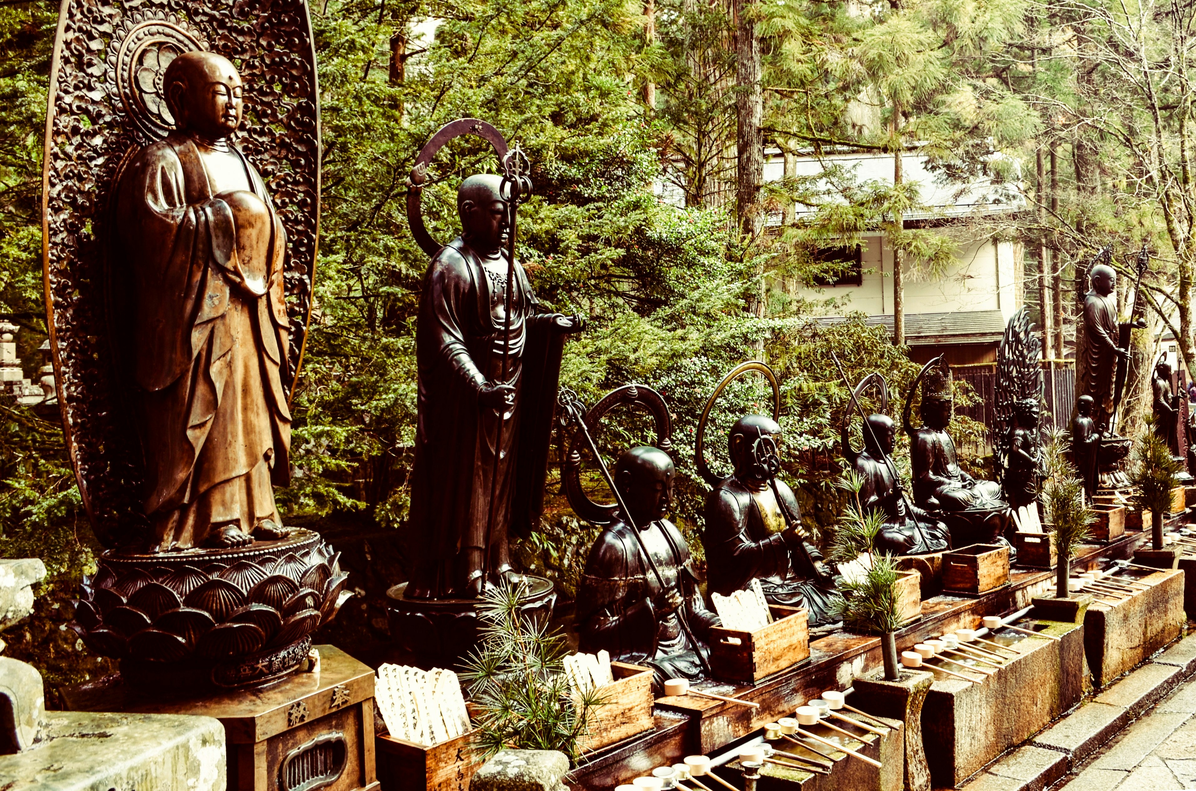 outdoor display of statues in a wooded garden