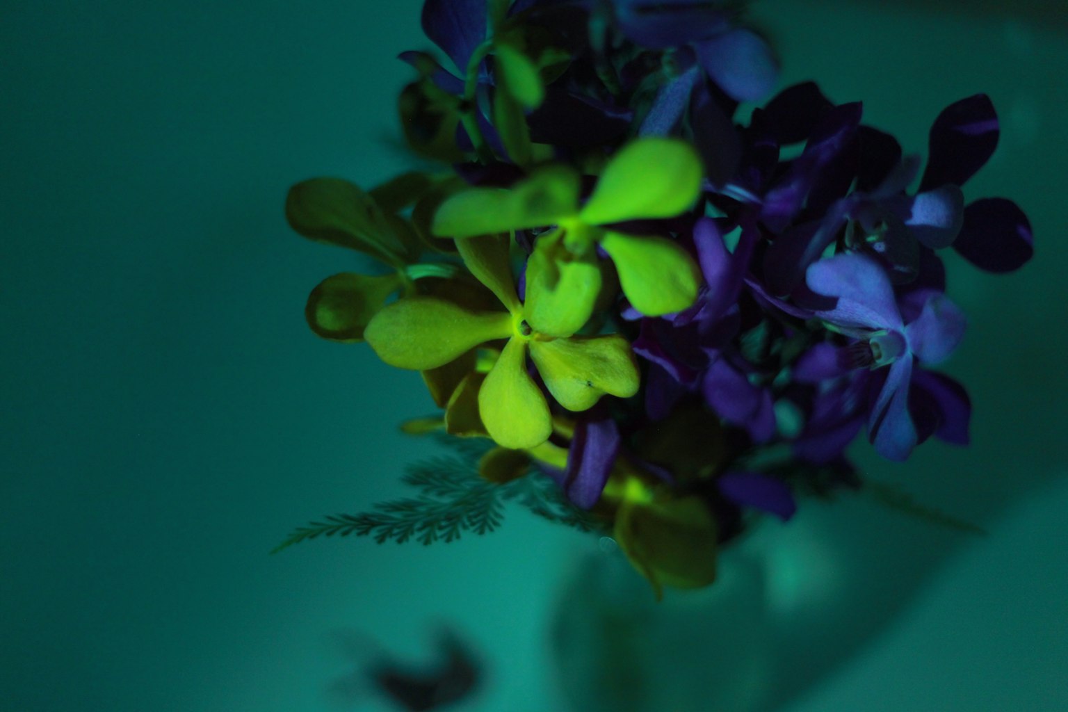 Un ramo de flores amarillas y moradas flotando sobre un fondo azul