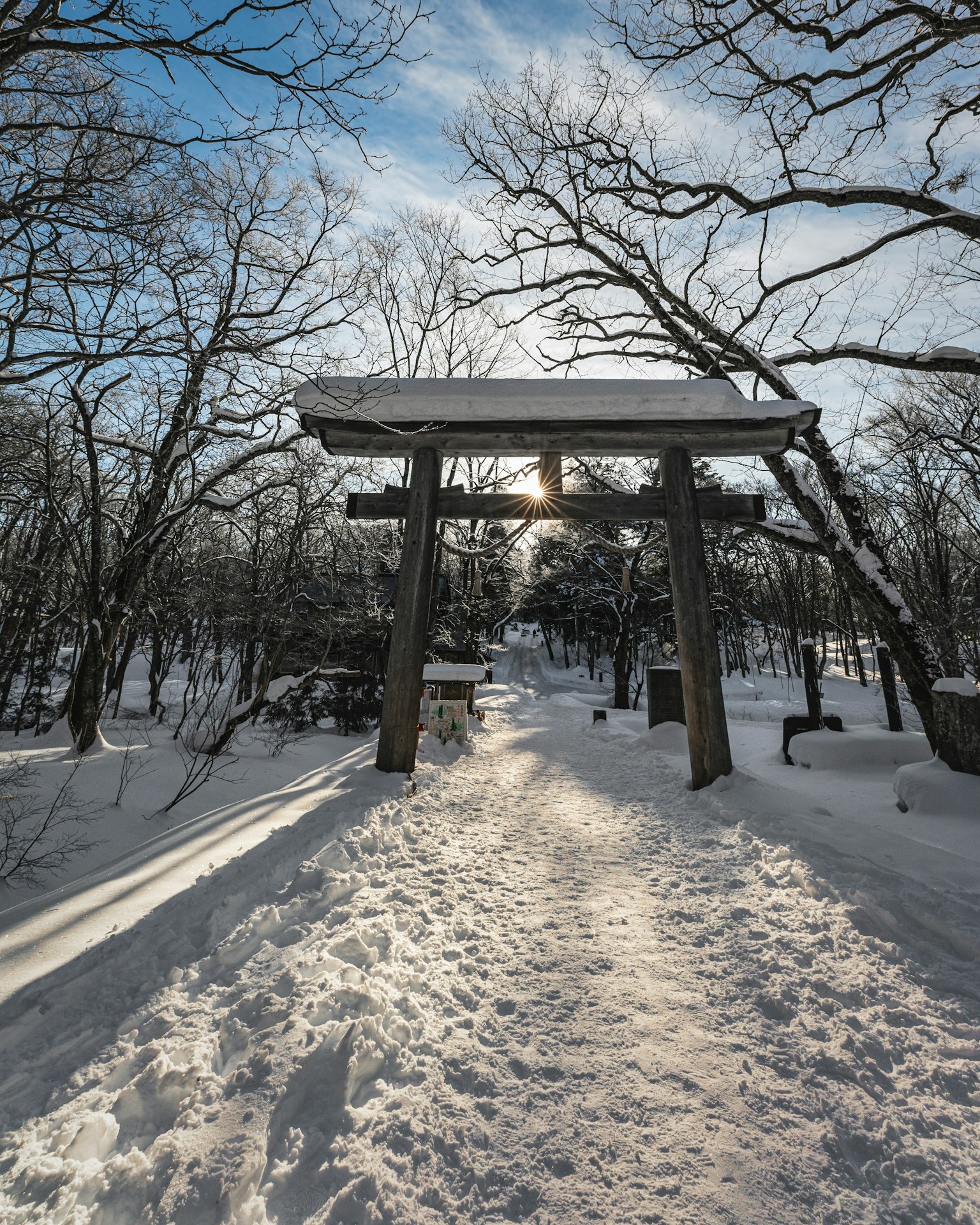 Cảnh mùa đông với con đường phủ tuyết và cổng torii