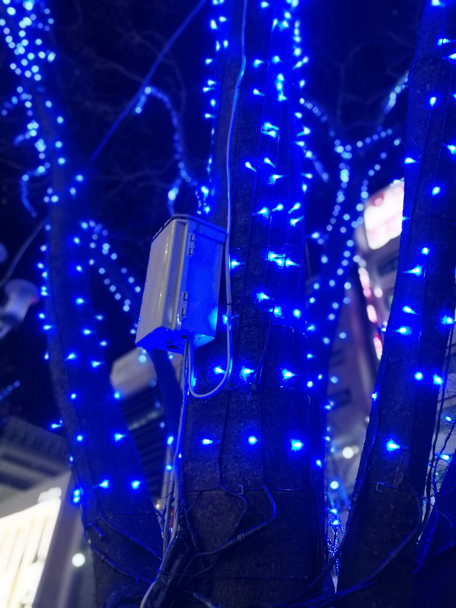 Tree trunk and branches decorated with blue LED lights