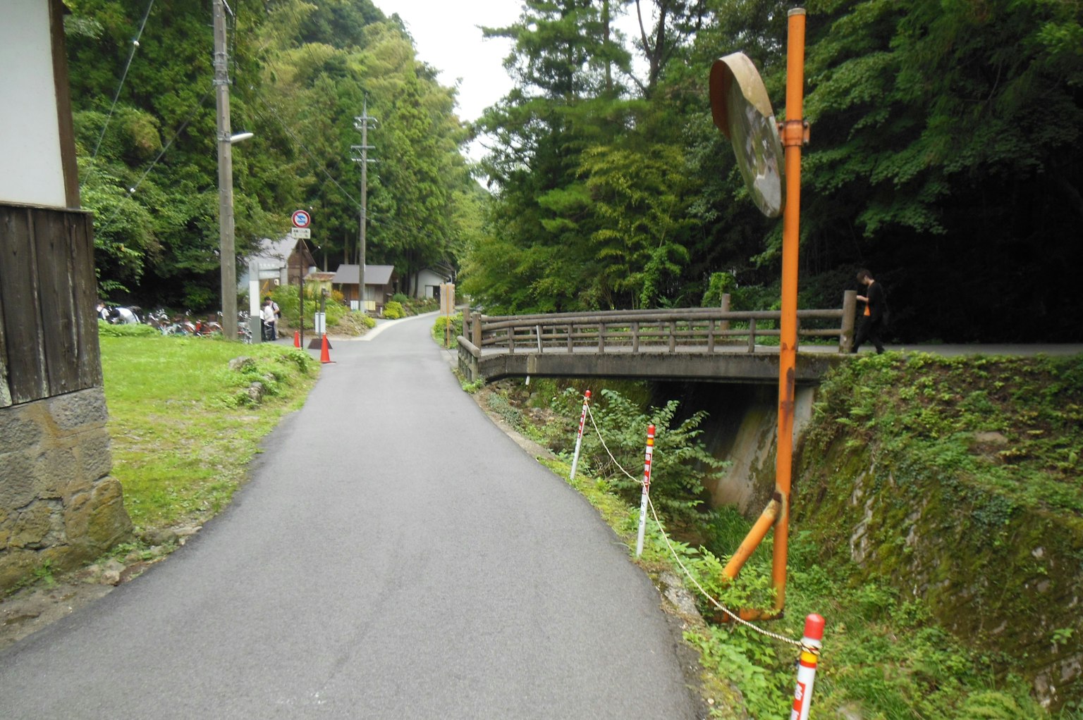 Strada stretta circondata da alberi verdi con un piccolo ponte