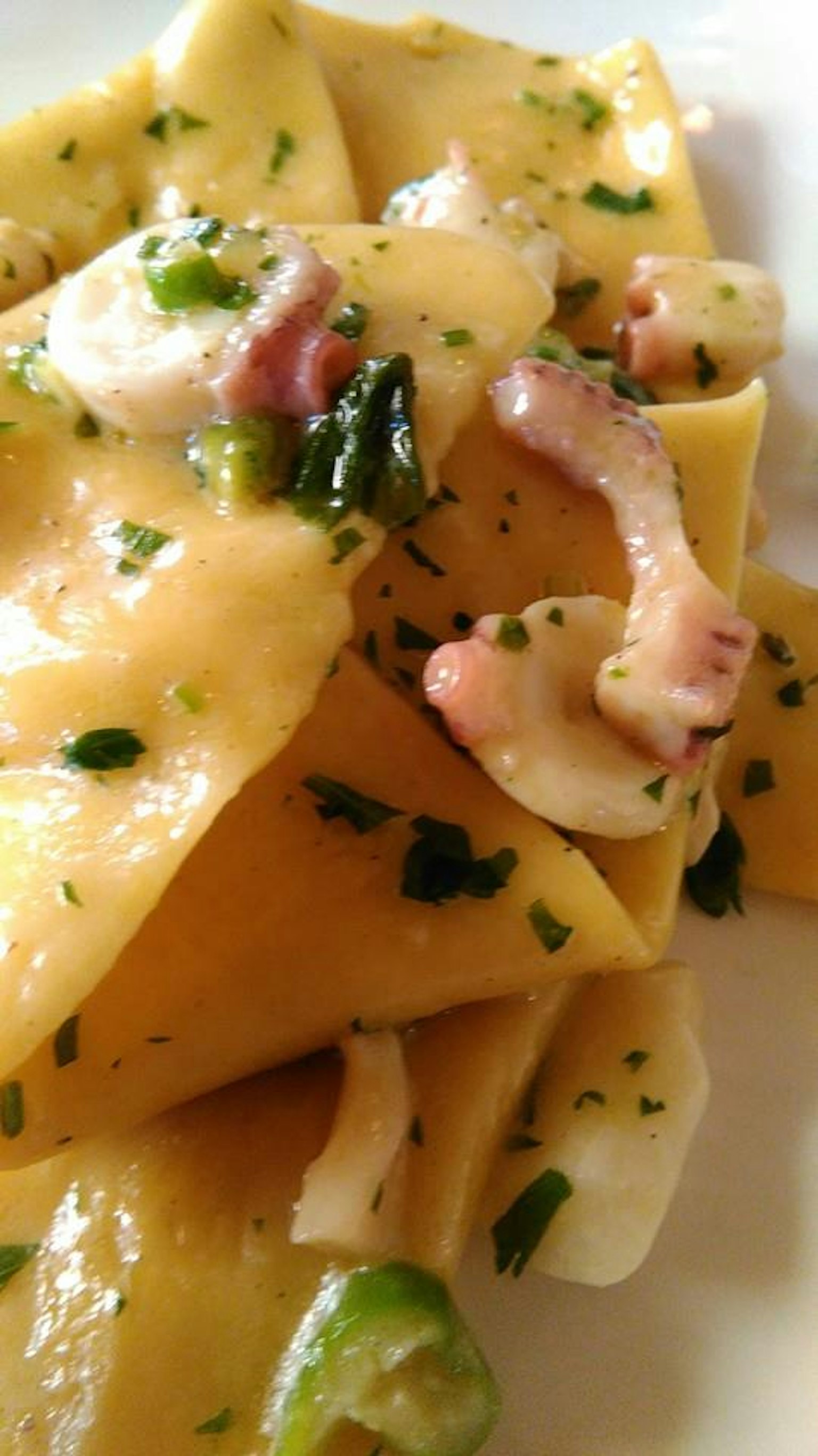 Delizioso piatto di pasta con salsa cremosa guarnito con erbe fresche e ingredienti