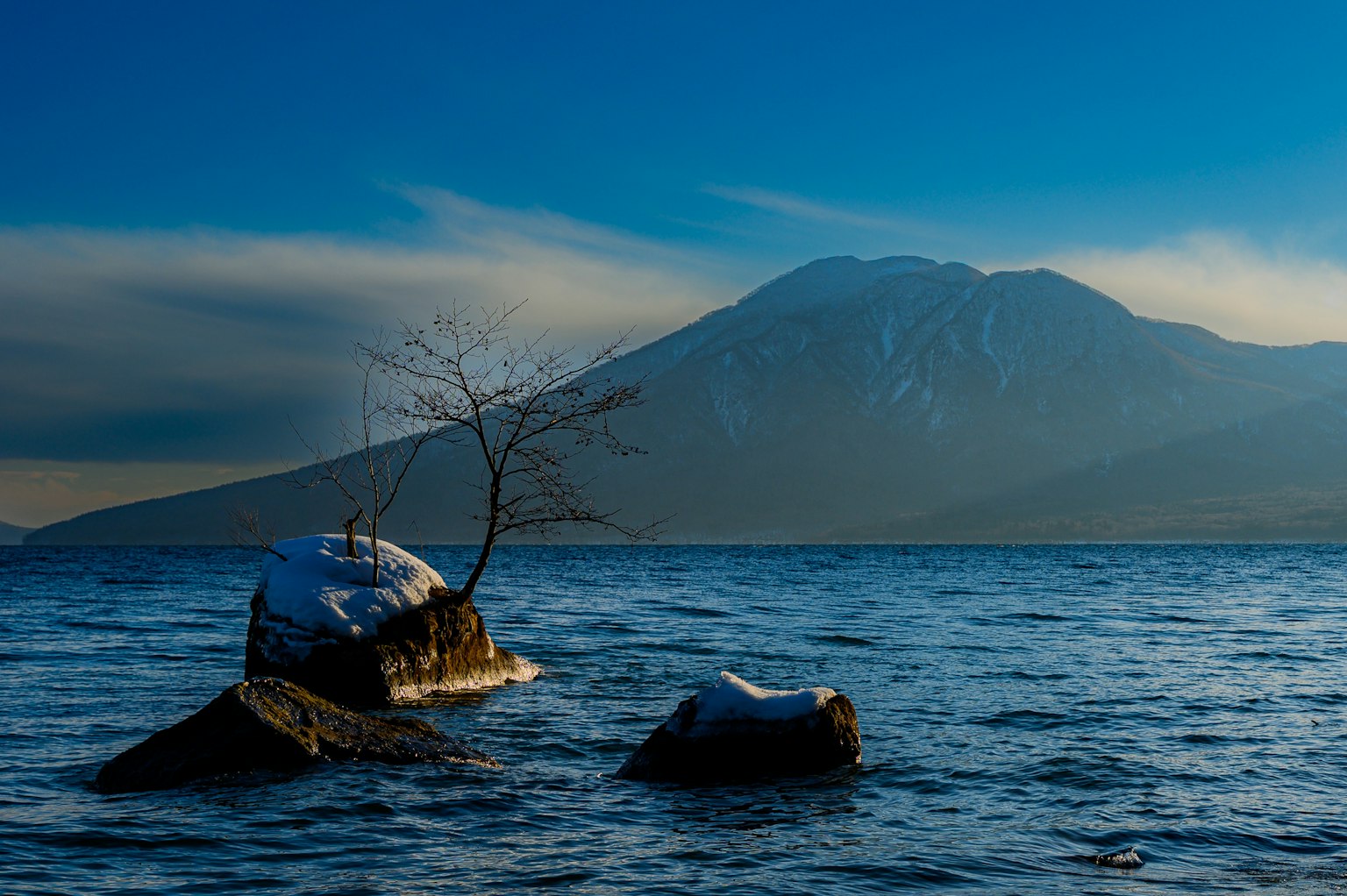 Una scena tranquilla con rocce coperte di neve e un piccolo albero che emerge dall'acqua