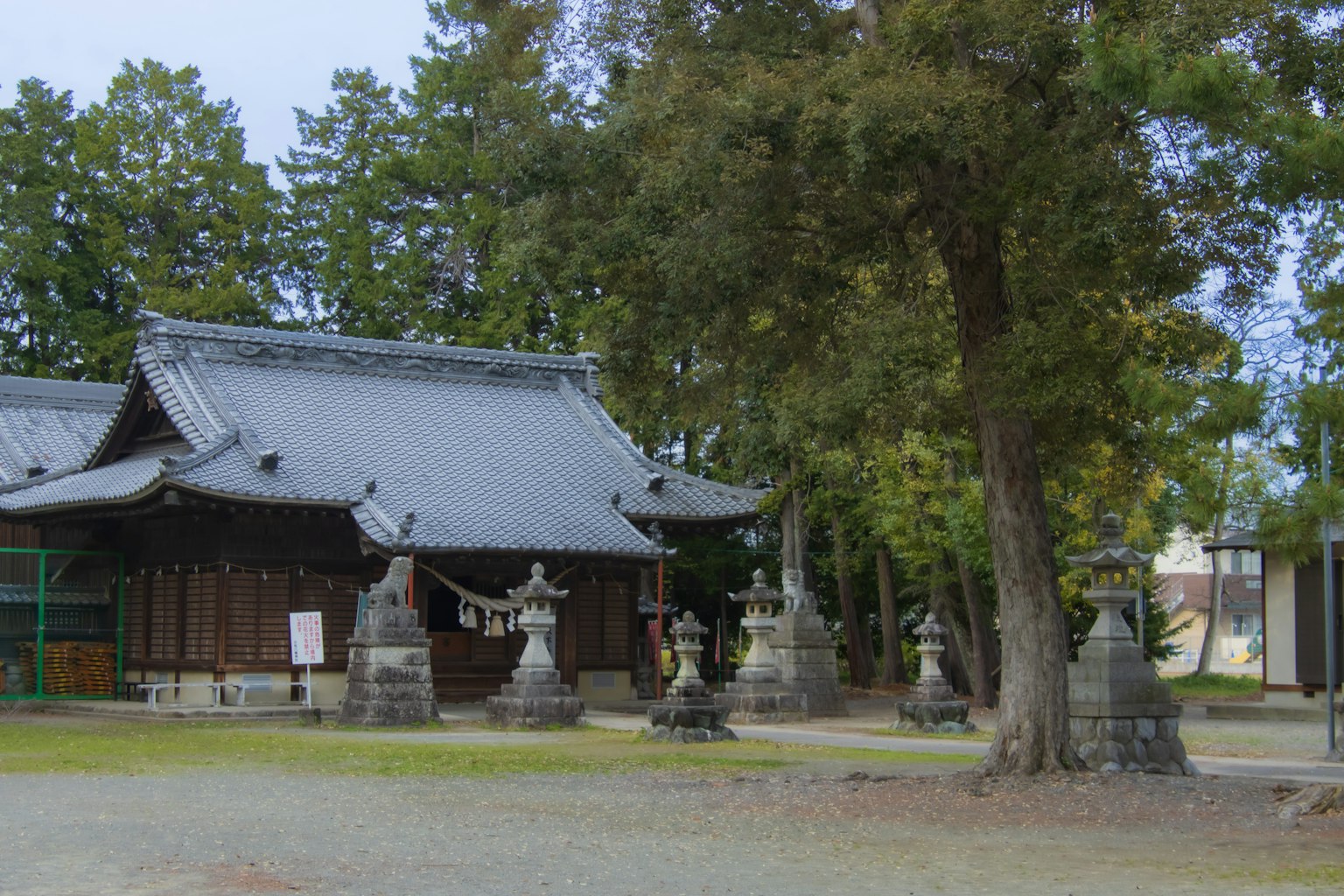 Edificio tradicional de un santuario japonés con árboles circundantes