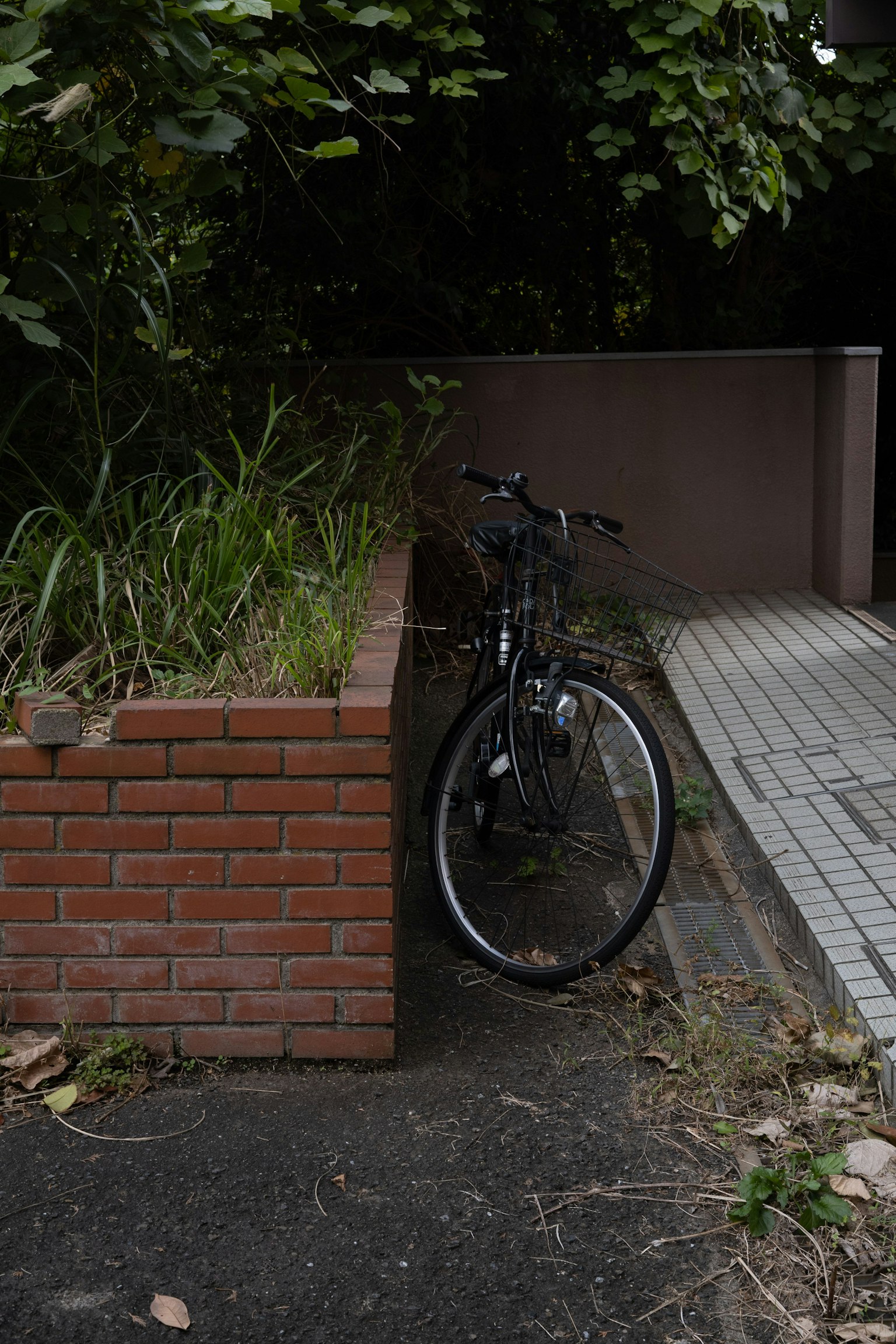 A bicycle leaning against a brick planter with greenery
