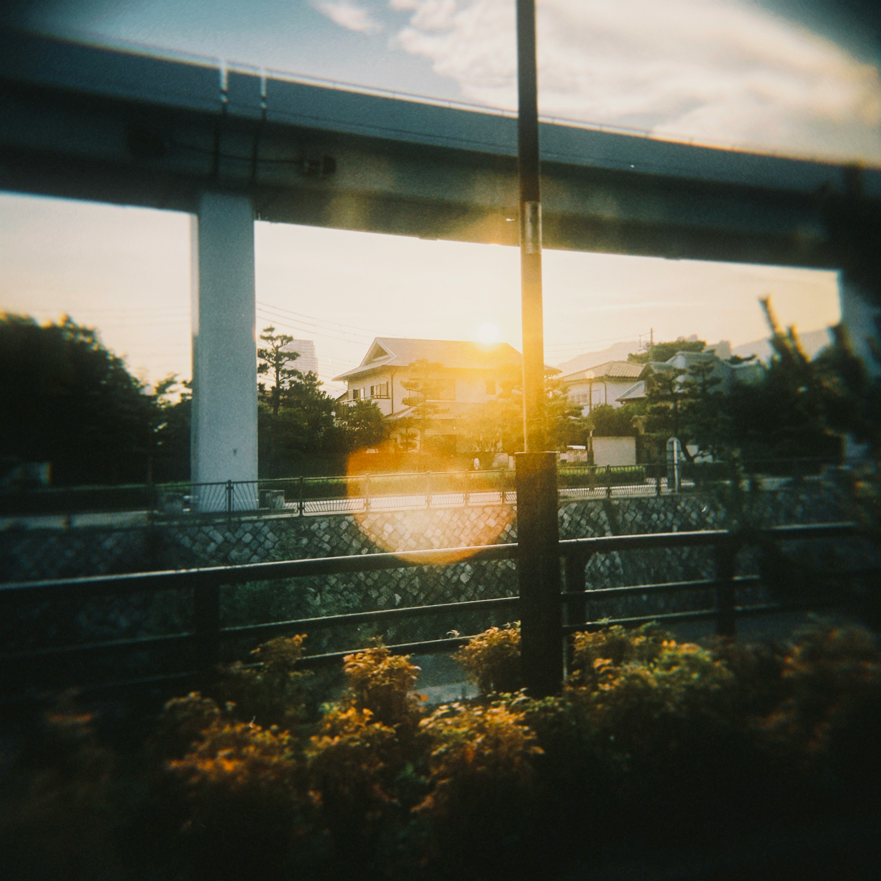 vista del vecindario al atardecer bajo una estructura elevada con vegetación