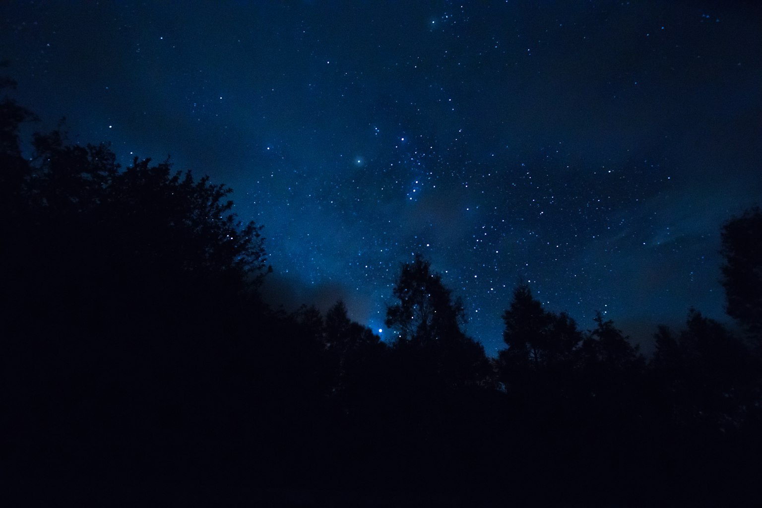 Cielo notturno stellato con tonalità di blu profondo e alberi in silhouette