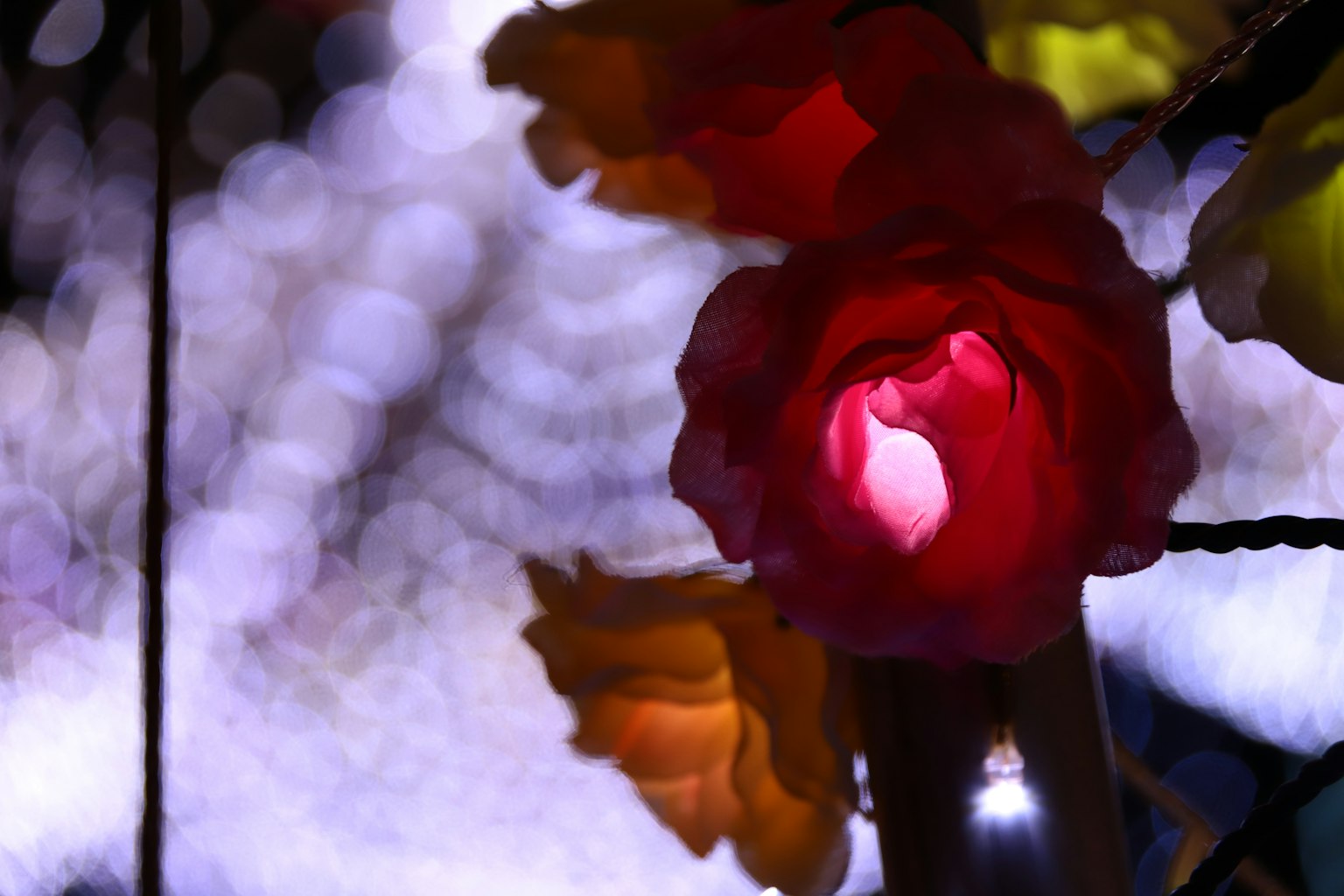 Une belle exposition lumineuse avec des fleurs colorées sur un fond flou