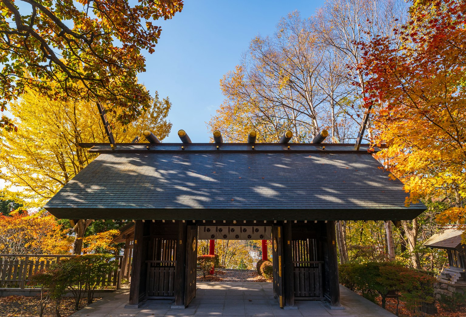 Traditional Japanese gate surrounded by vibrant autumn foliage