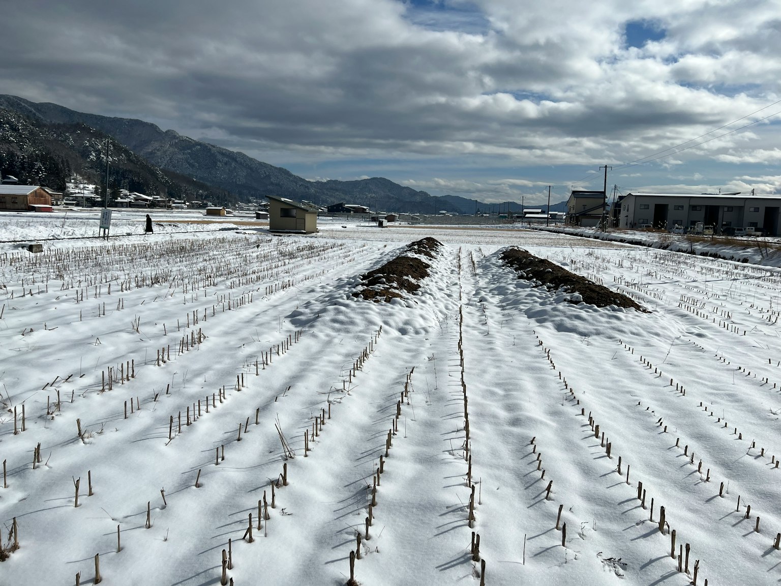 Schneebedeckte Landwirtschaft mit Bergen im Hintergrund
