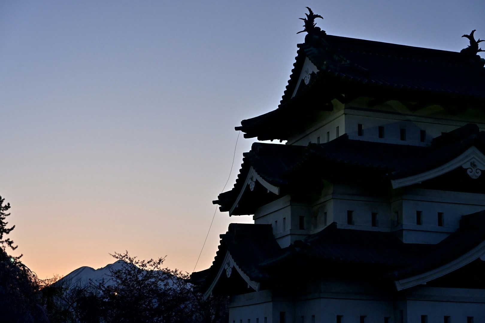夕暮れの城郭建築と桜のシルエット