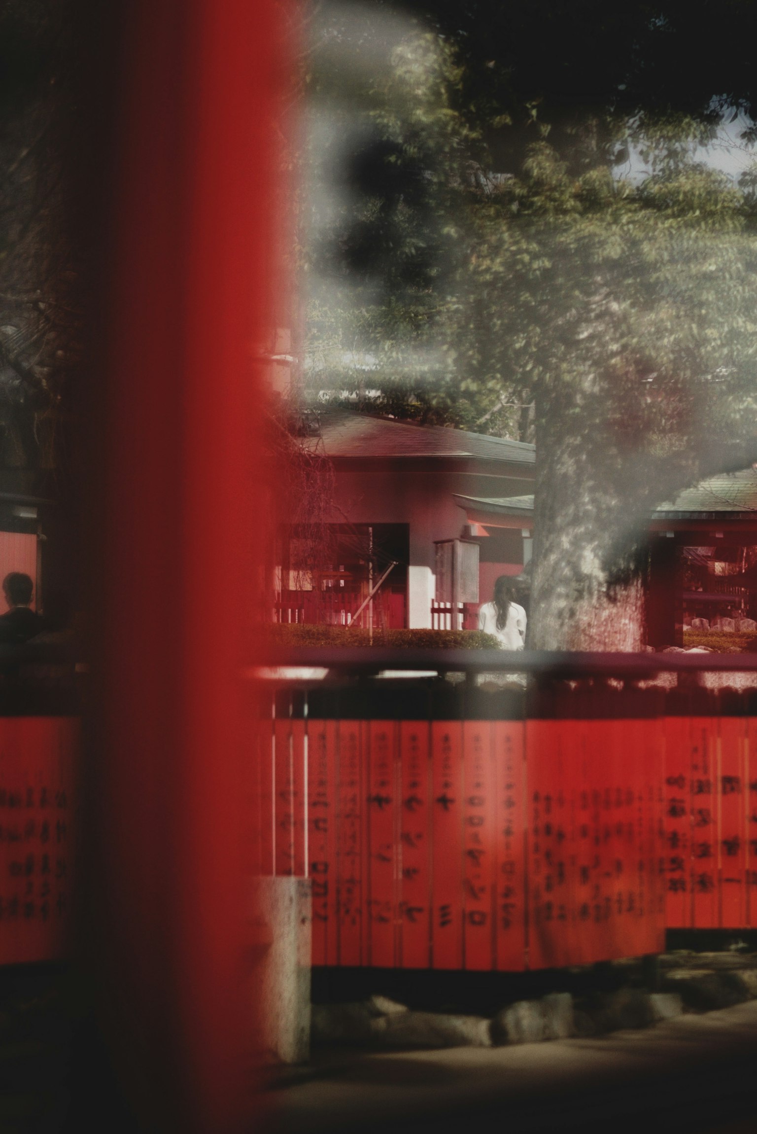 A view of red buildings and trees reflected in glass