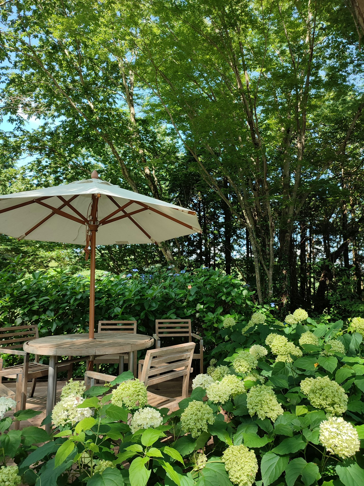 Outdoor table and chairs surrounded by greenery under a white umbrella