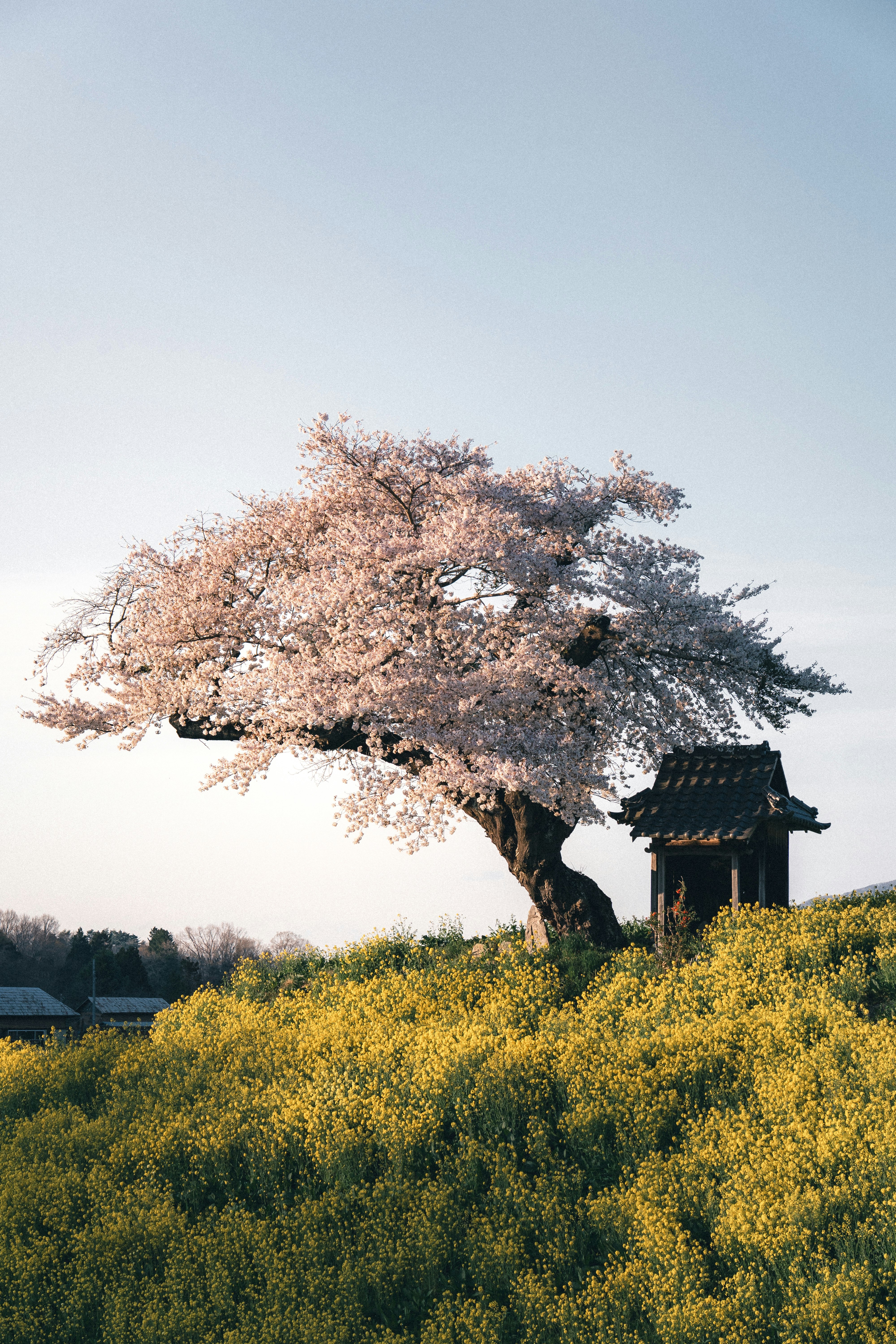 暗いグレーの背景