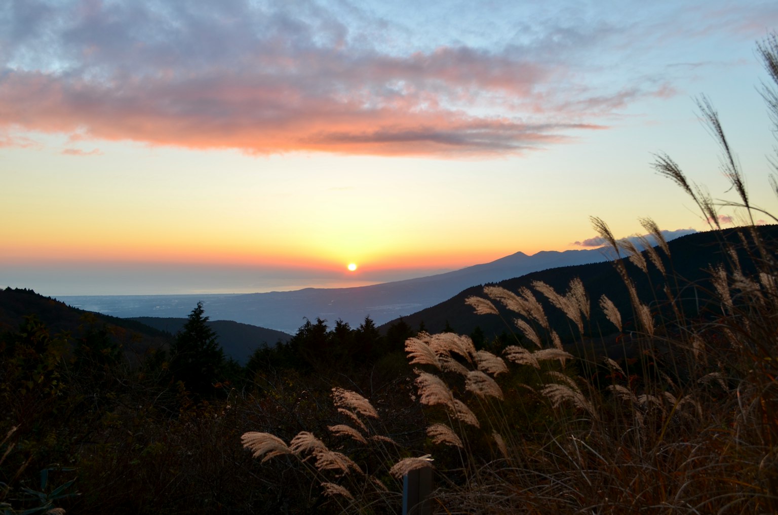 Hermoso paisaje montañoso con atardecer y hierba ondeante