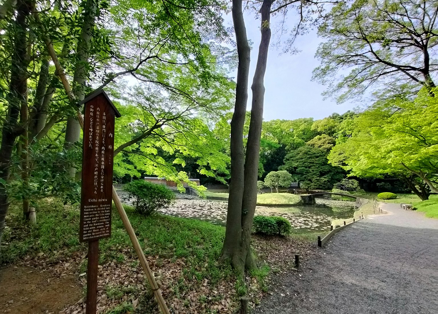 Lush green park landscape with a sign near a pond