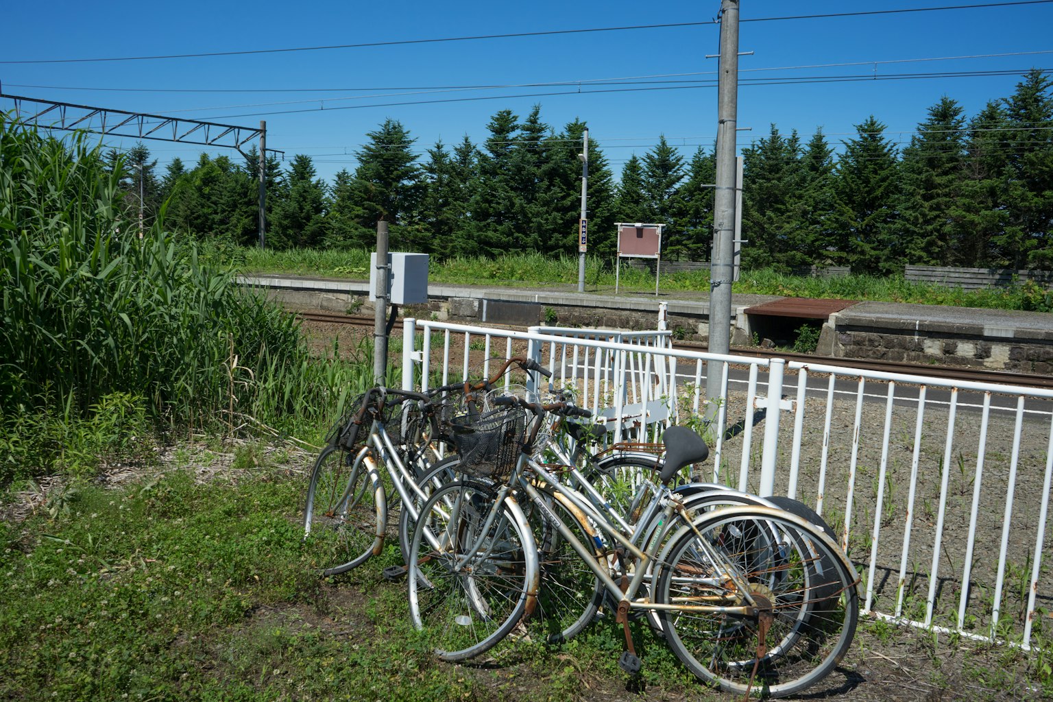 Varios bicicletas están estacionadas cerca de una cerca con un fondo verde y un cielo azul claro