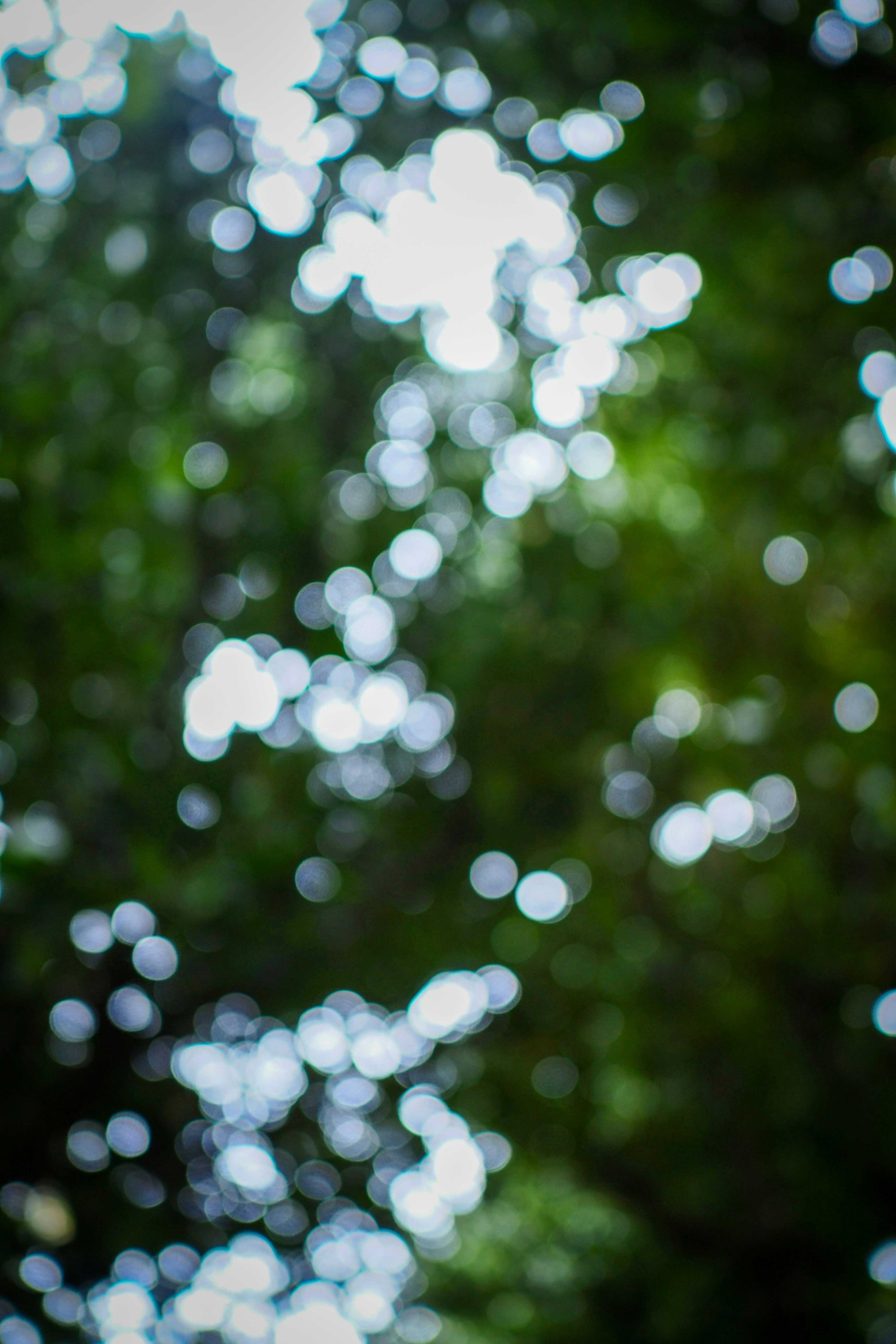 photo-CWcdIJJrr323LuNXPybB