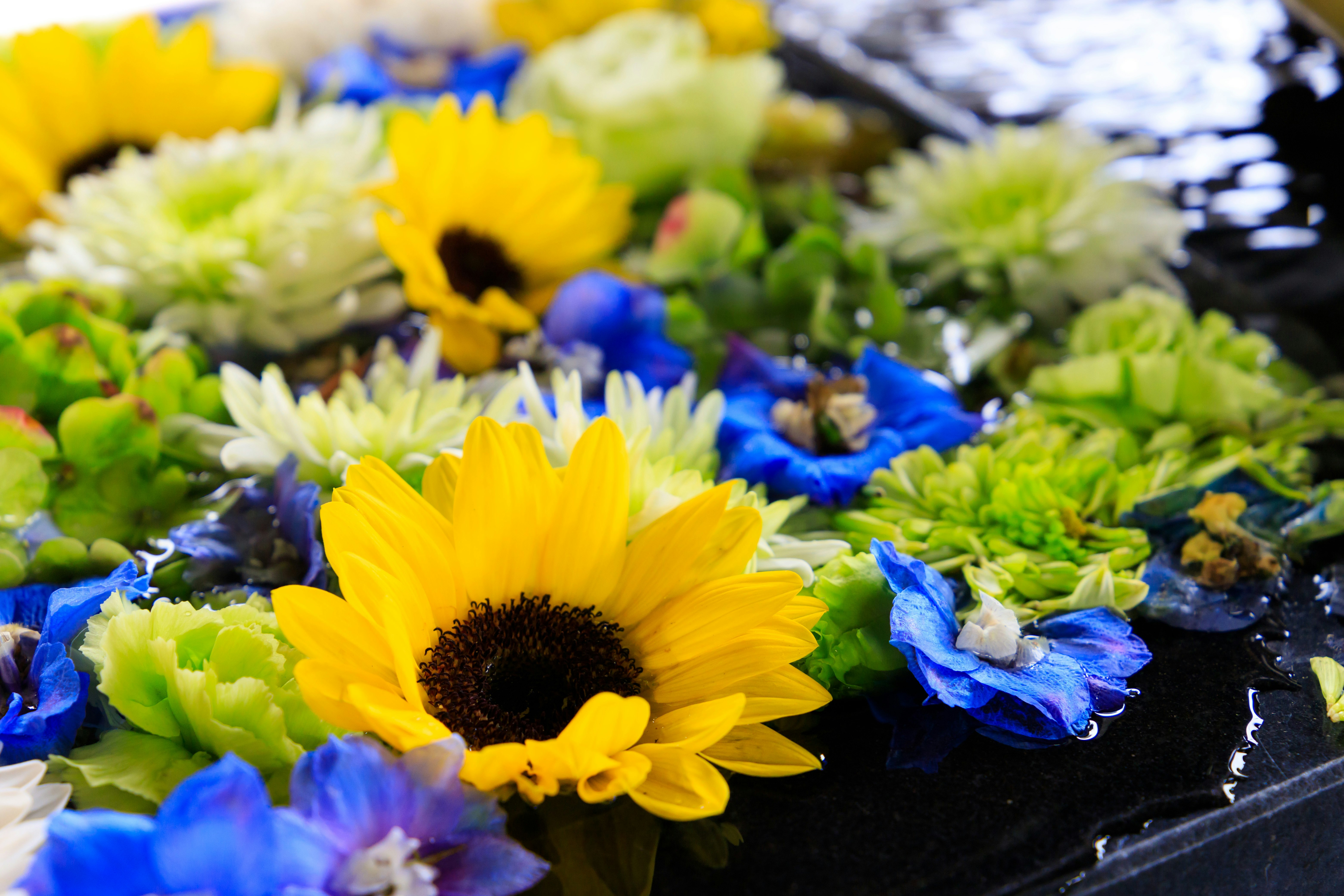 primer plano de un ramo con girasoles y flores azules