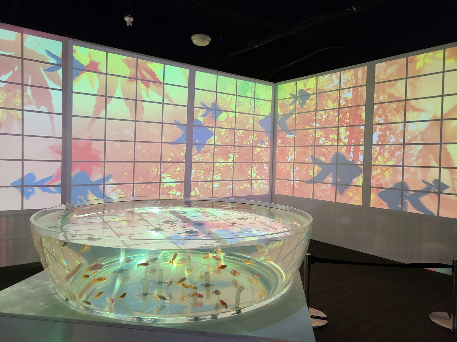 互动展览空间，墙壁上有色彩斑斓的投影和一个圆形展示