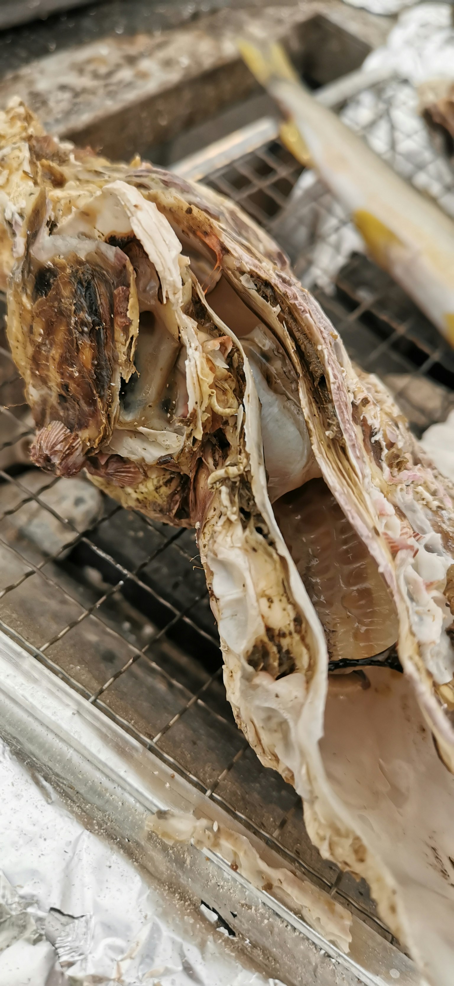 腐爛的肉塊放在烤架上