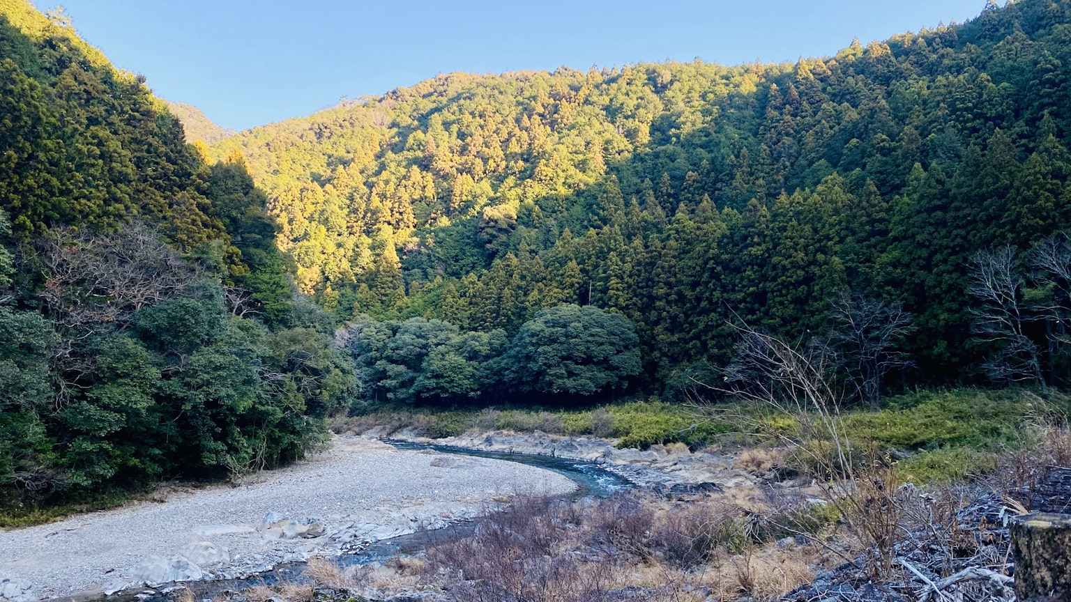 Scenic view of a river surrounded by lush green mountains
