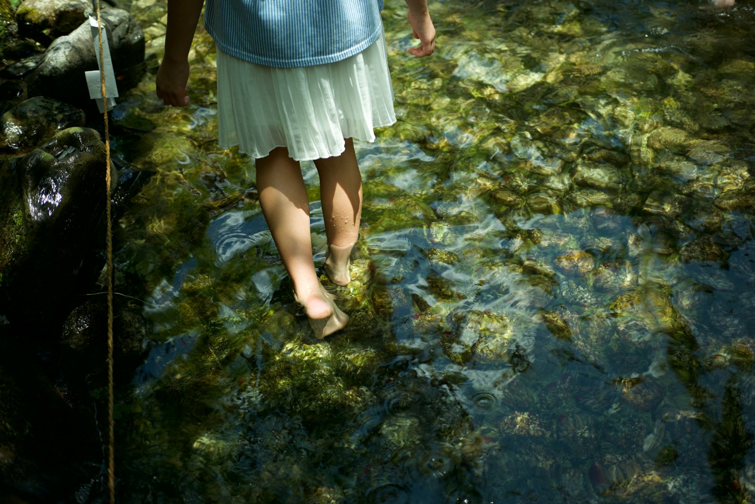 photo-CZ89MRSwFAlKpsE0FHEE-image