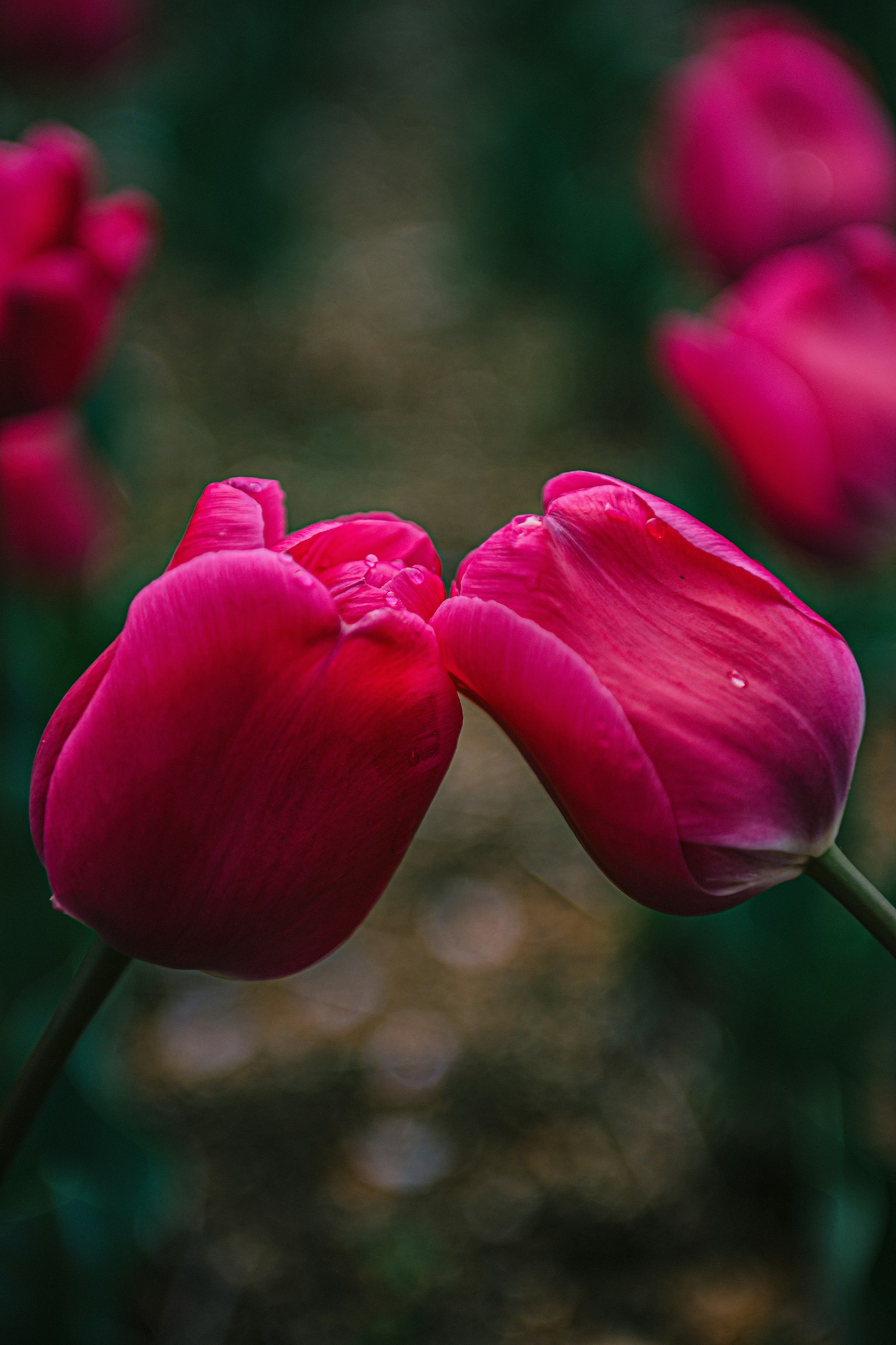 photo-CZMAKZYVkNnqhBQjd9Kg-image