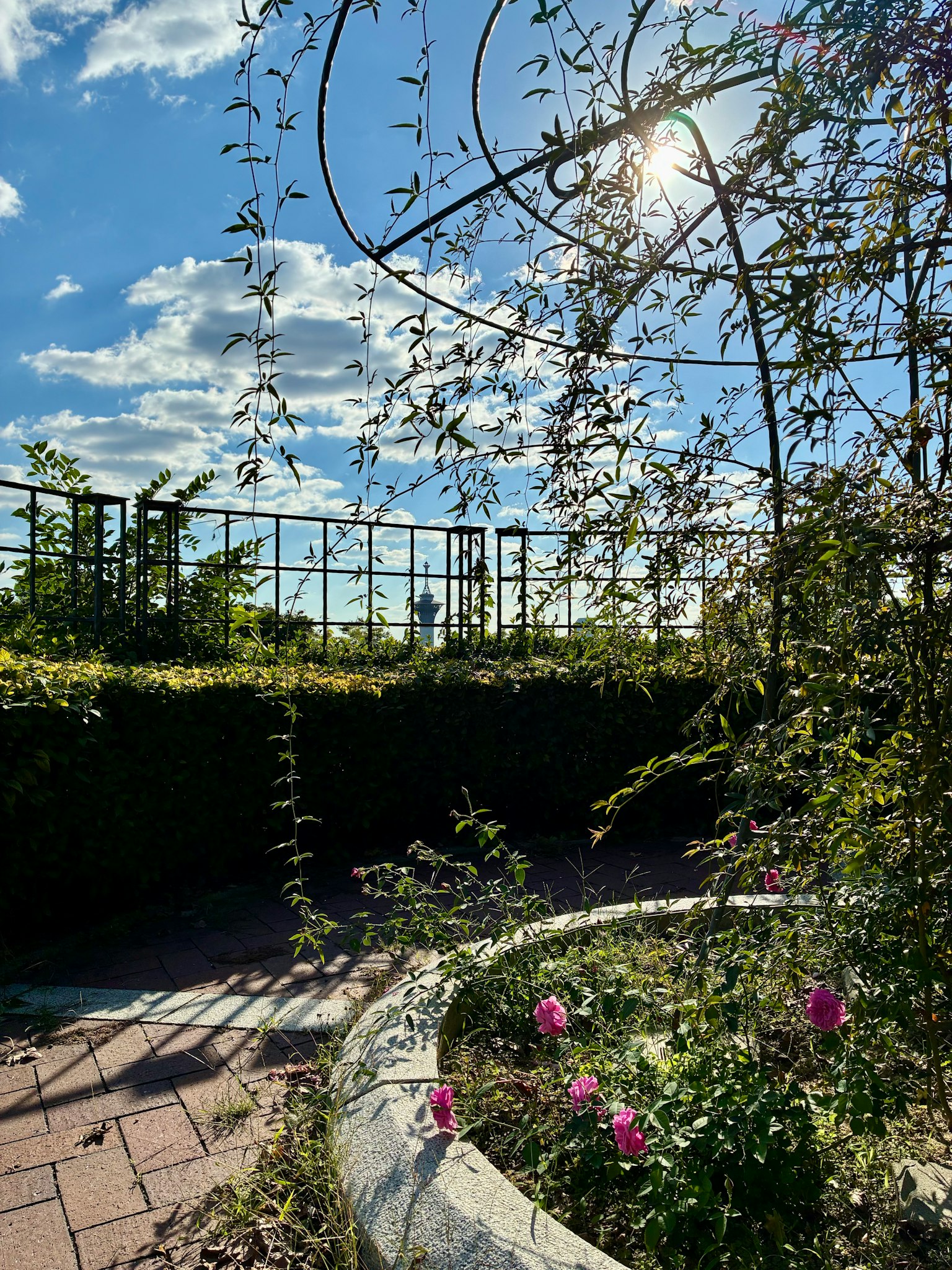 Conception graphique simple sur un fond sombre