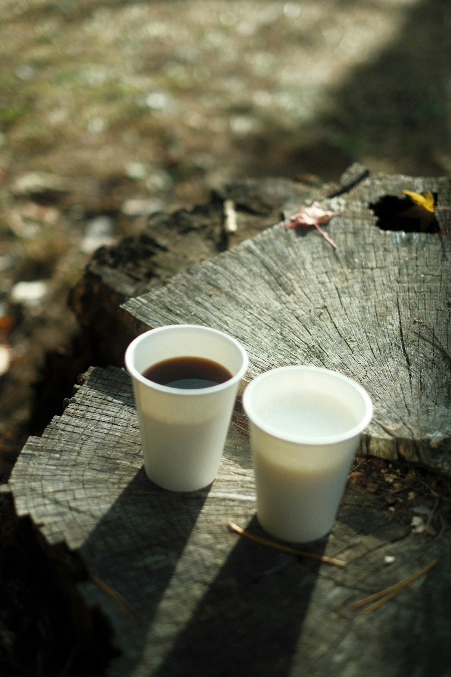 Coffee and milk cups placed on a wooden stump