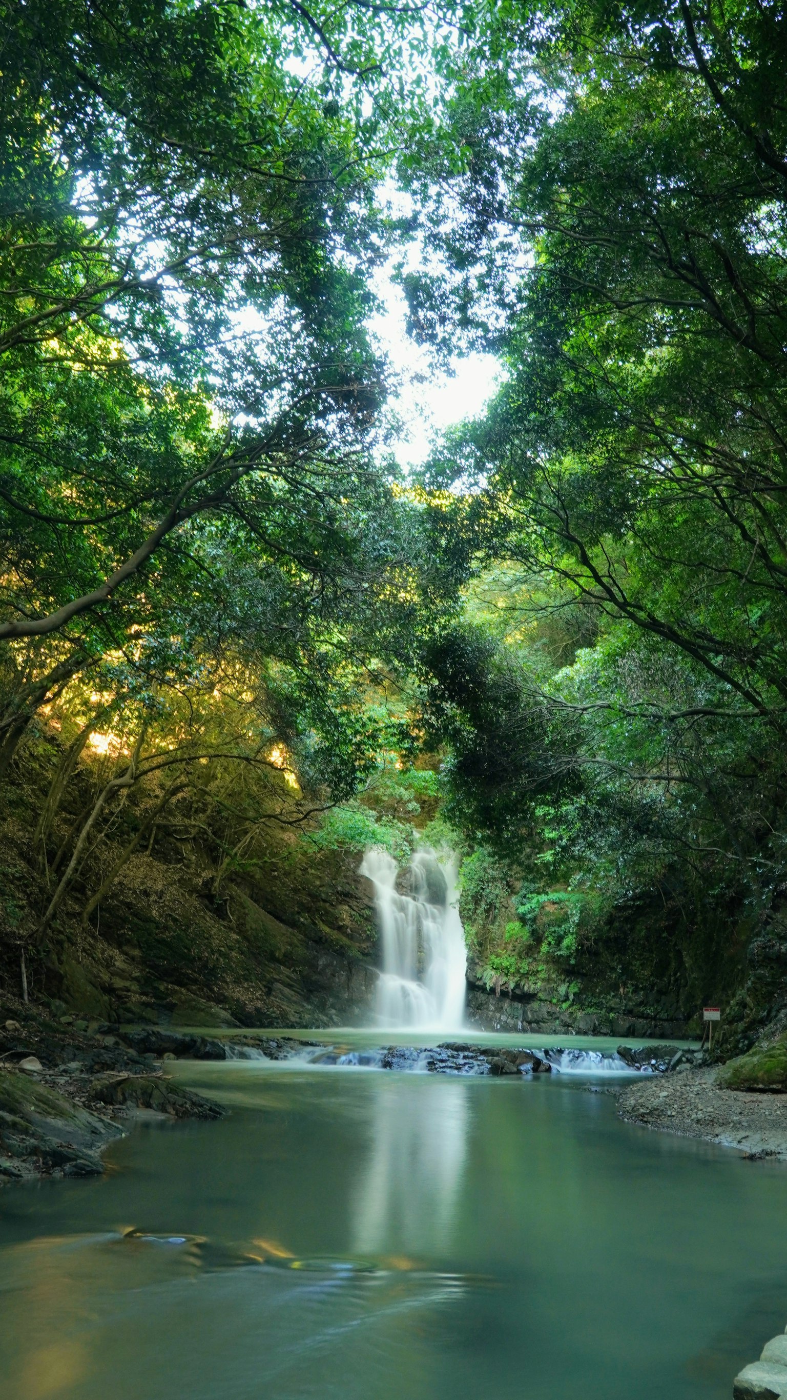 Ein schöner Wasserfall und ein ruhiger Fluss in einem üppigen grünen Wald