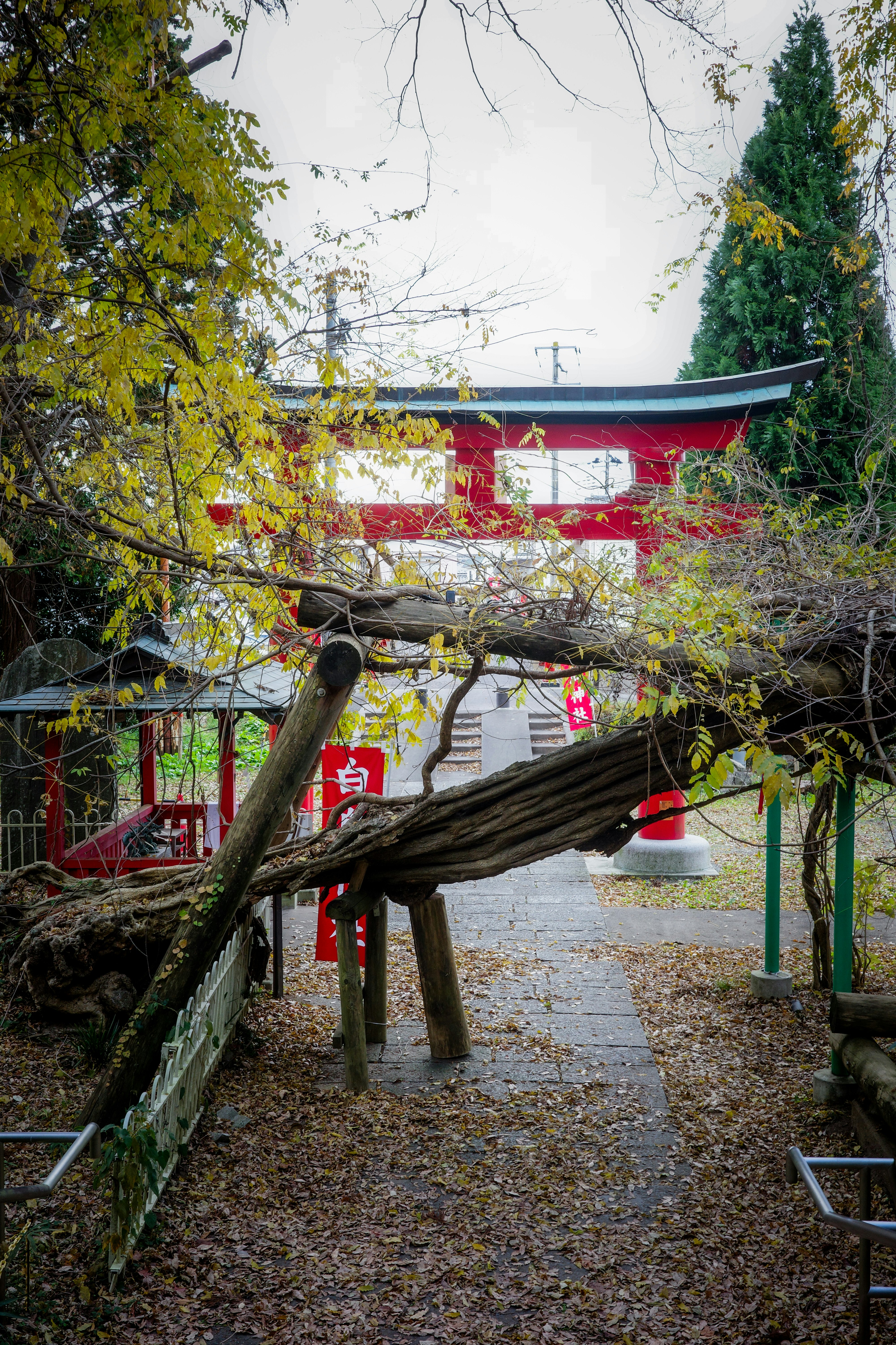 鳥居のある小道と赤い奉納幕の神社風景