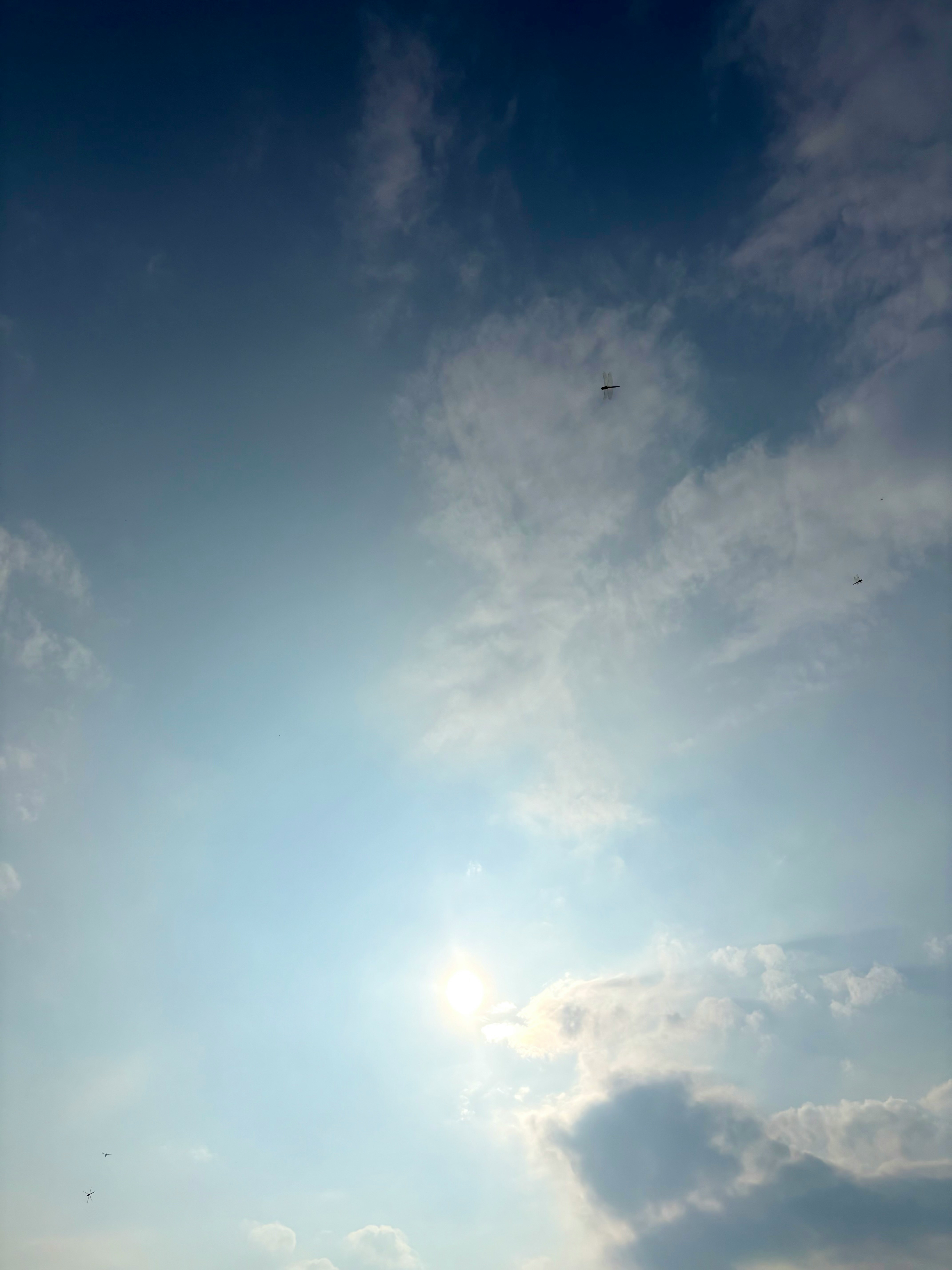 9月の空に広がる雲と太陽の光