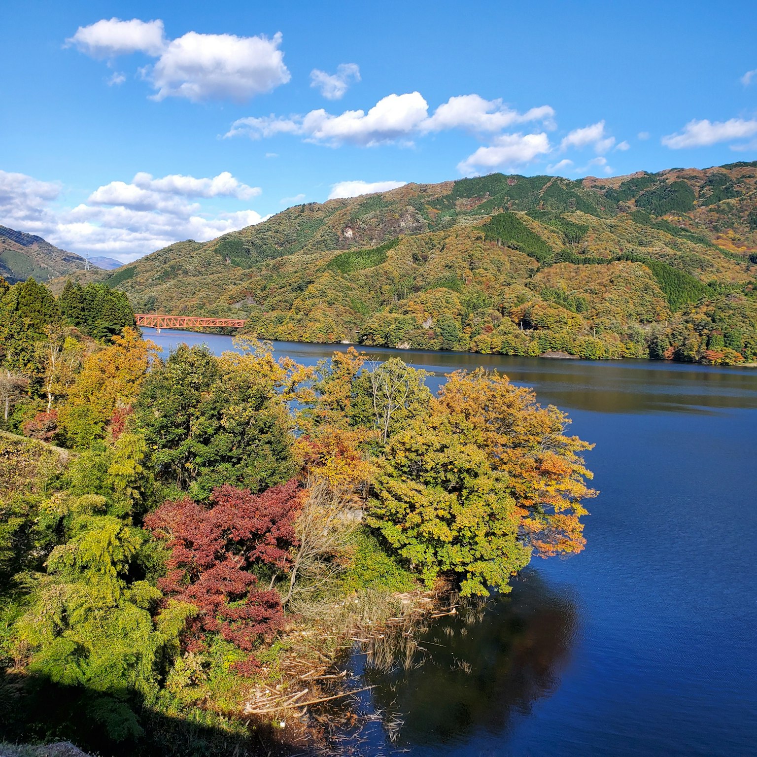 美しい秋の風景で、湖と色とりどりの木々が広がる