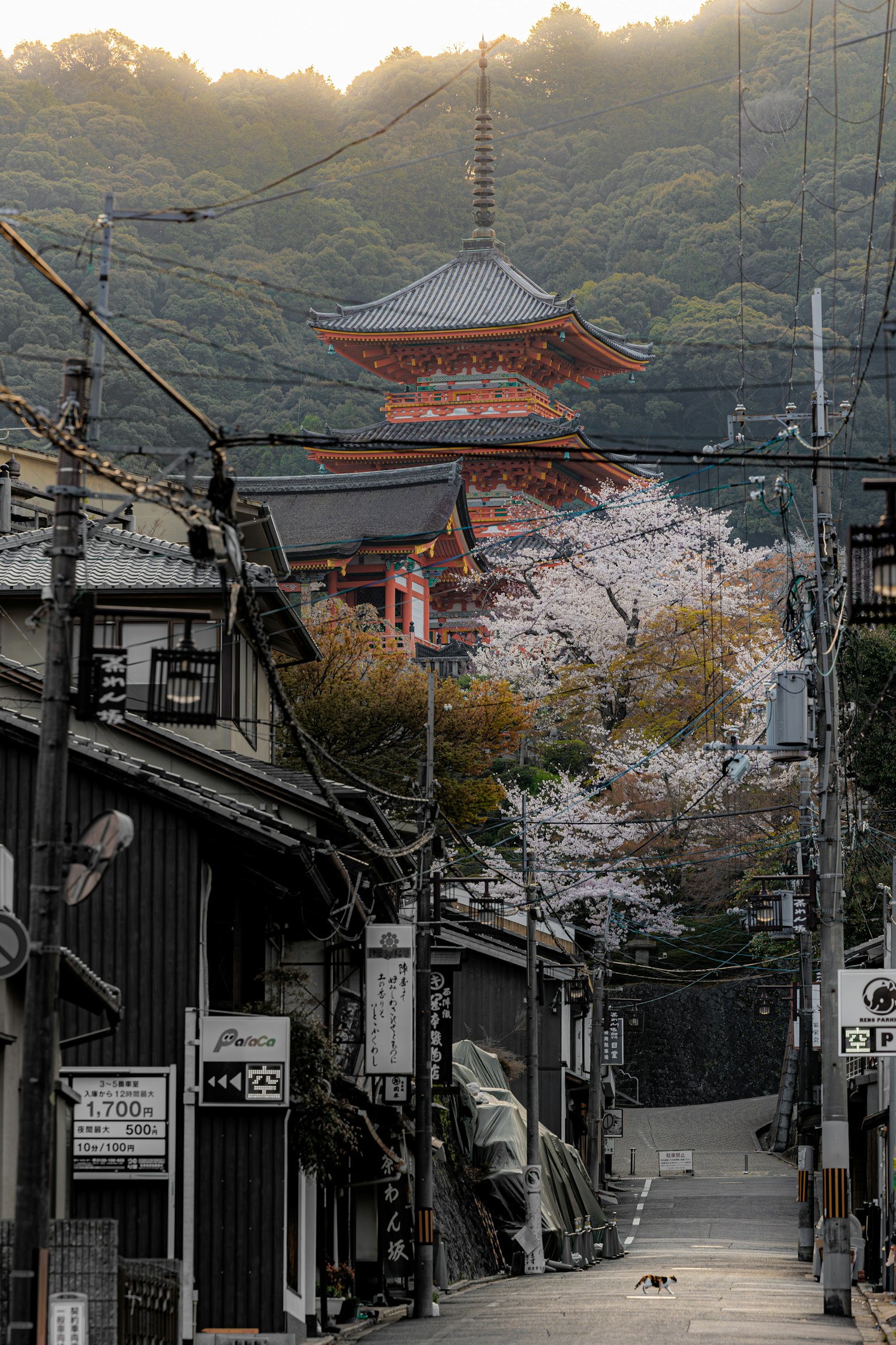 photo-CahKctMTI5vv6nI45wpp-image