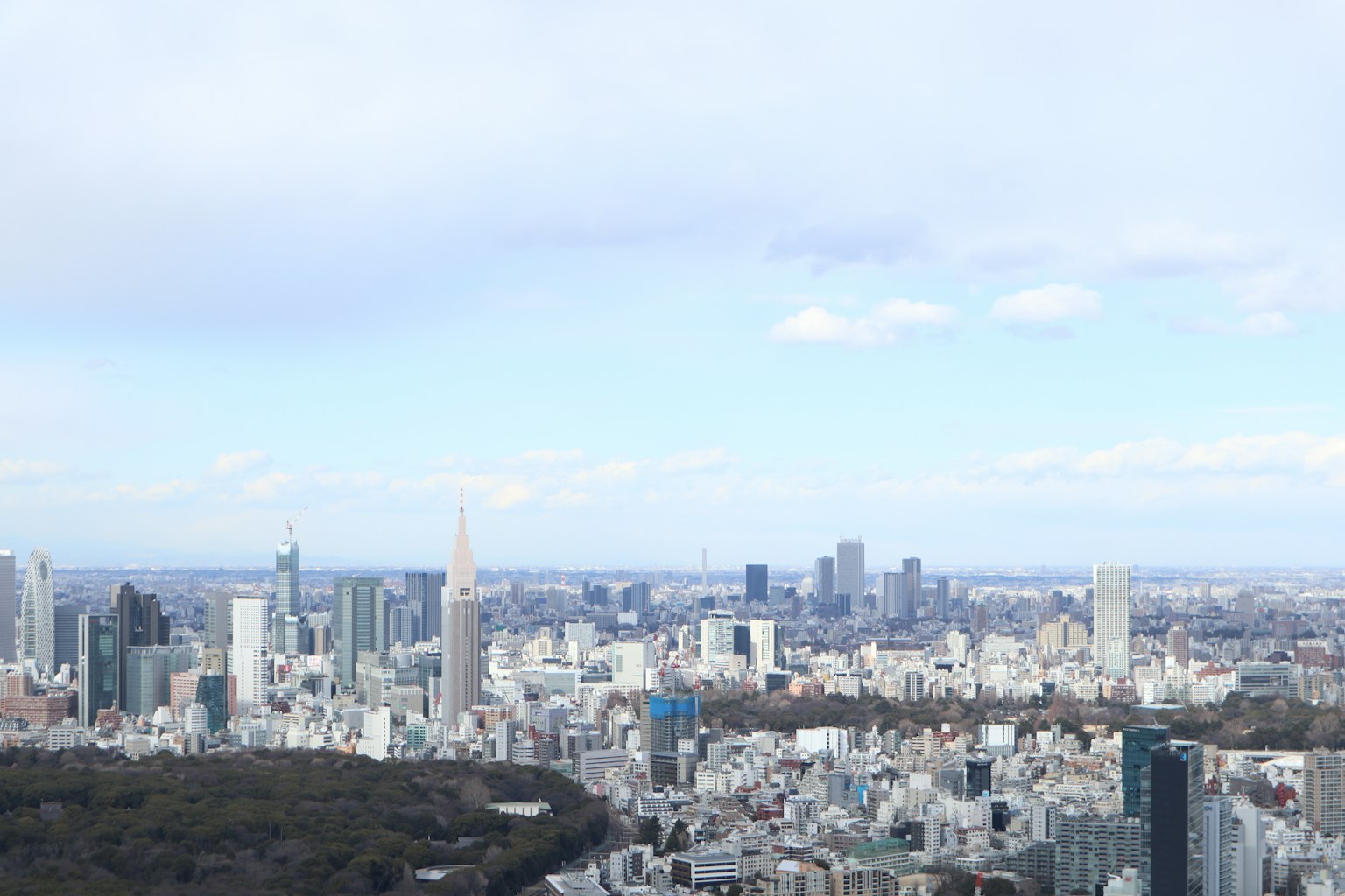 Panoramablick auf die Stadtlandschaft von Tokio
