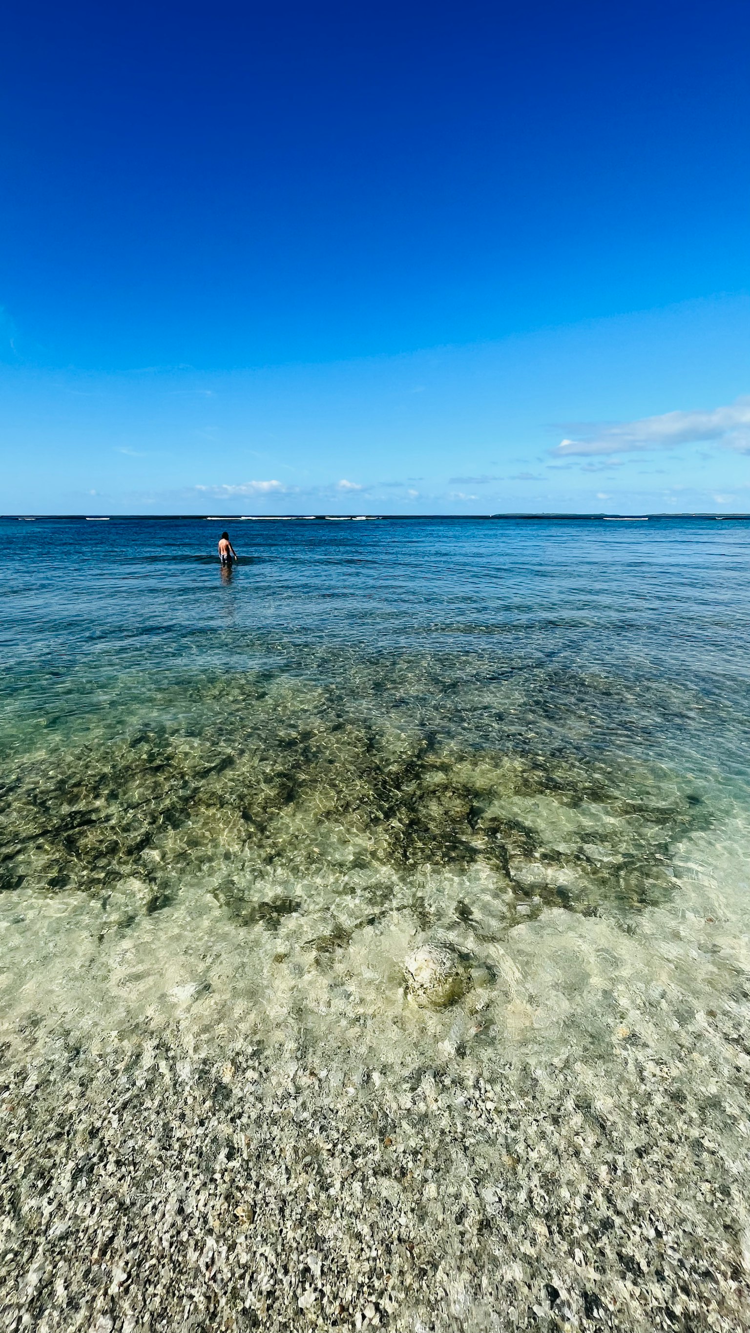 清澈的海水揭示海灘上的珊瑚礁