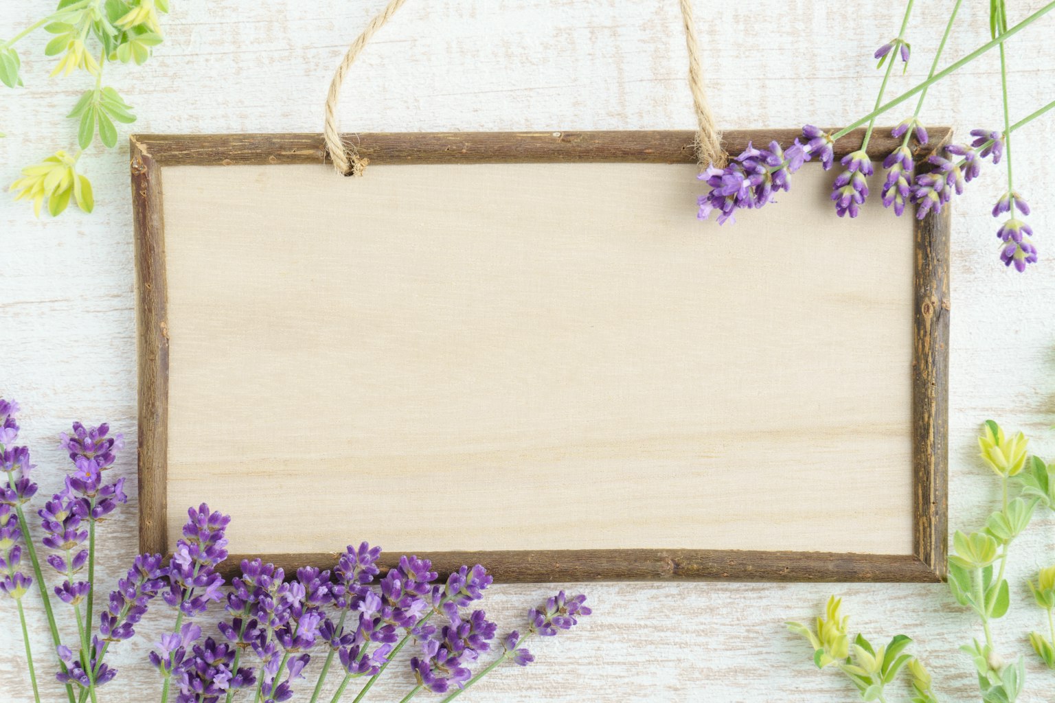 Wooden blank signboard surrounded by lavender flowers