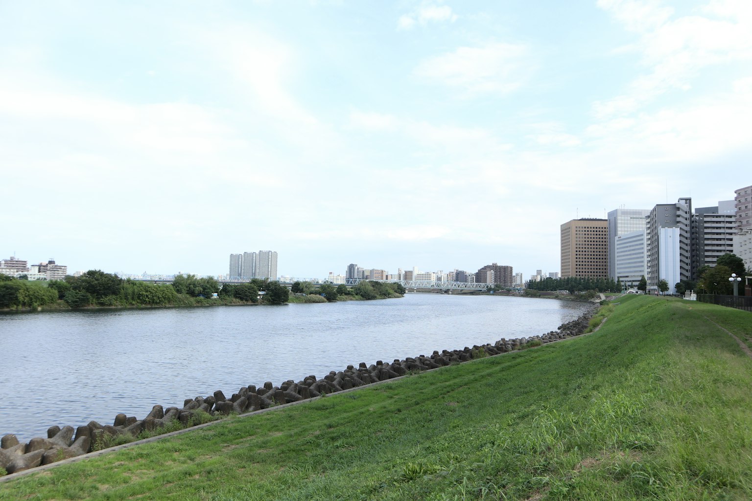 Vista panoramica di un fiume con rive erbose e moderni edifici sullo sfondo