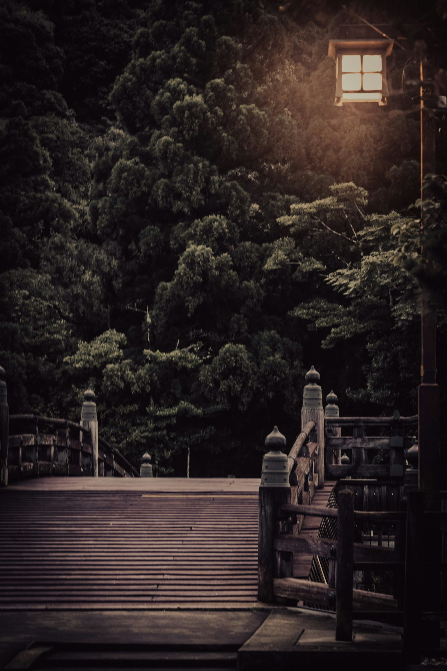 Dimly lit bridge surrounded by lush green trees with a lantern