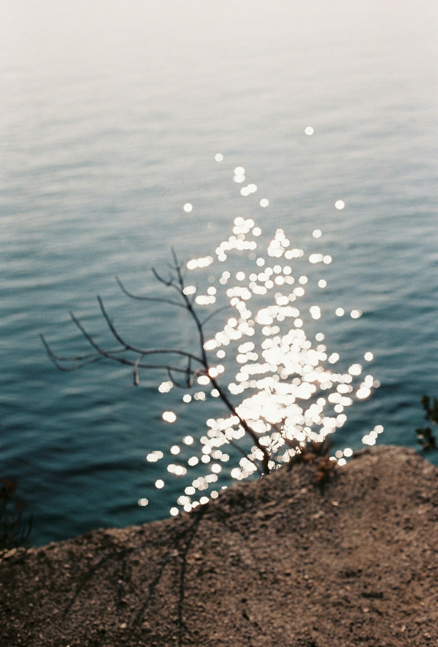 Reflet de la lumière sur la surface de l'eau avec une branche au bord