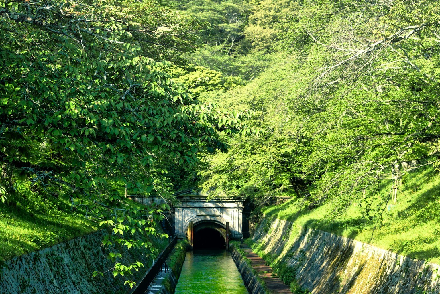 Tunnel verdoyant avec voie d'eau