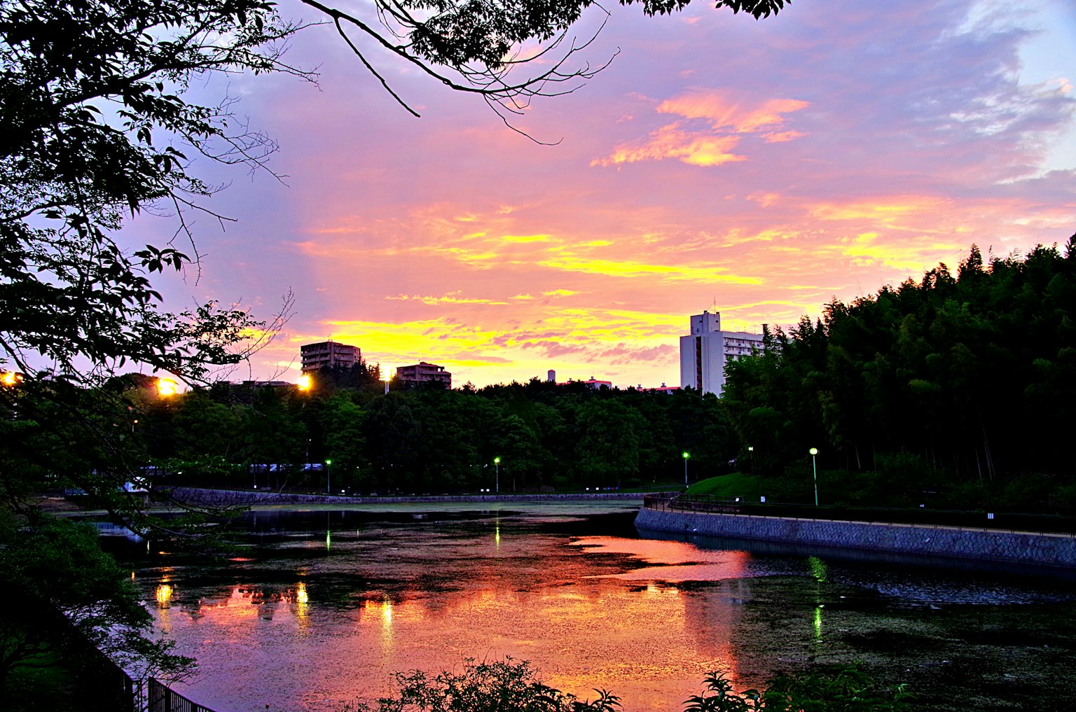 Río tranquilo en un parque con un hermoso cielo al atardecer